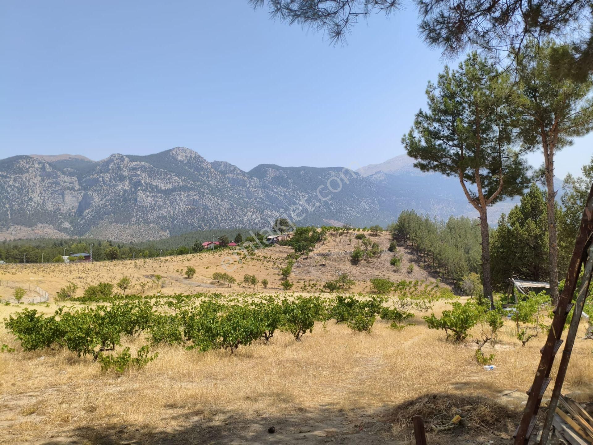 Pozantı Kar Emlaktan Alpu Yaylasında 442 M2 Arsa - Görsel 18