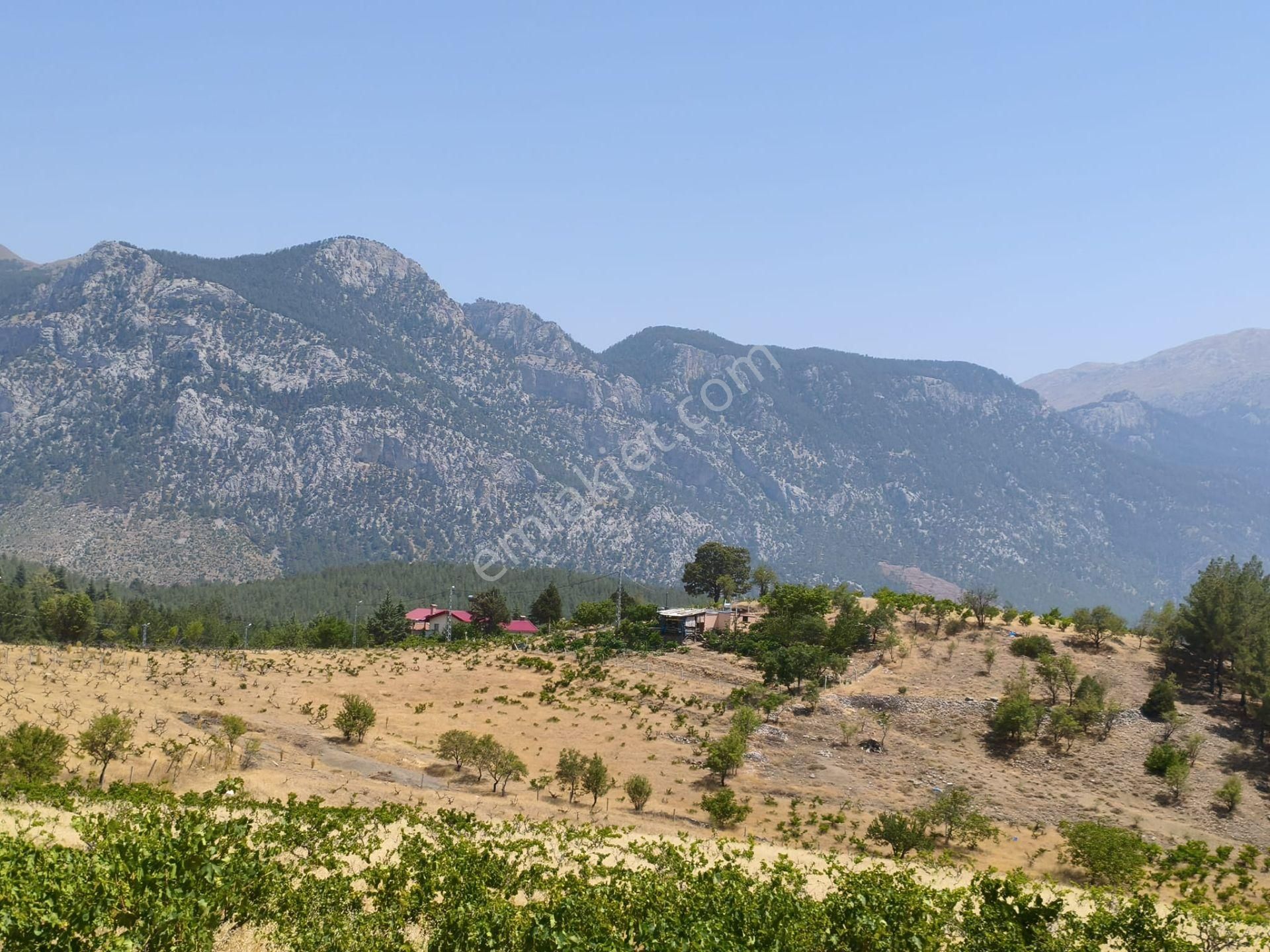Pozantı Kar Emlaktan Alpu Yaylasında 442 M2 Arsa