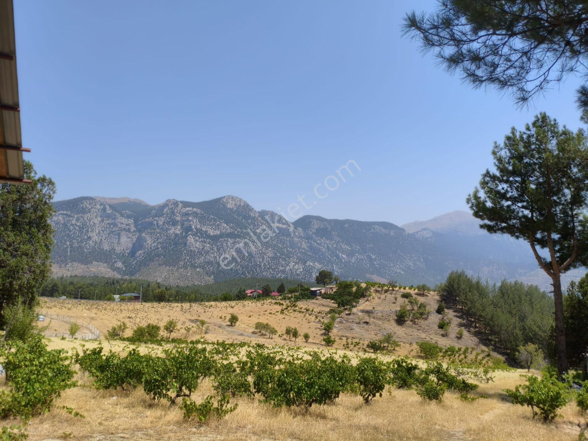 Pozantı Kar Emlaktan Alpu Yaylasında 442 M2 Arsa - Görsel 2