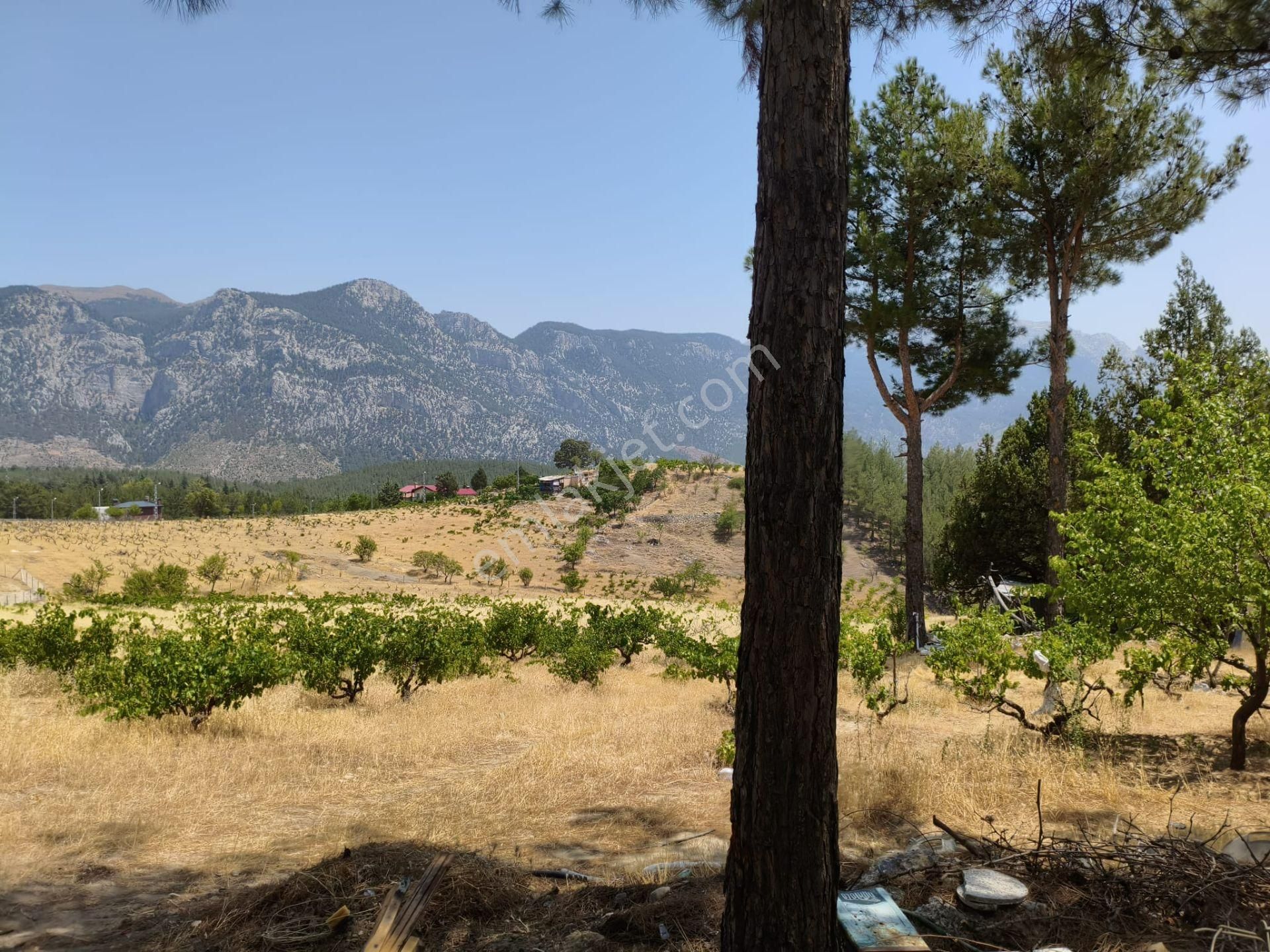 Pozantı Kar Emlaktan Alpu Yaylasında 442 M2 Arsa - Görsel 6