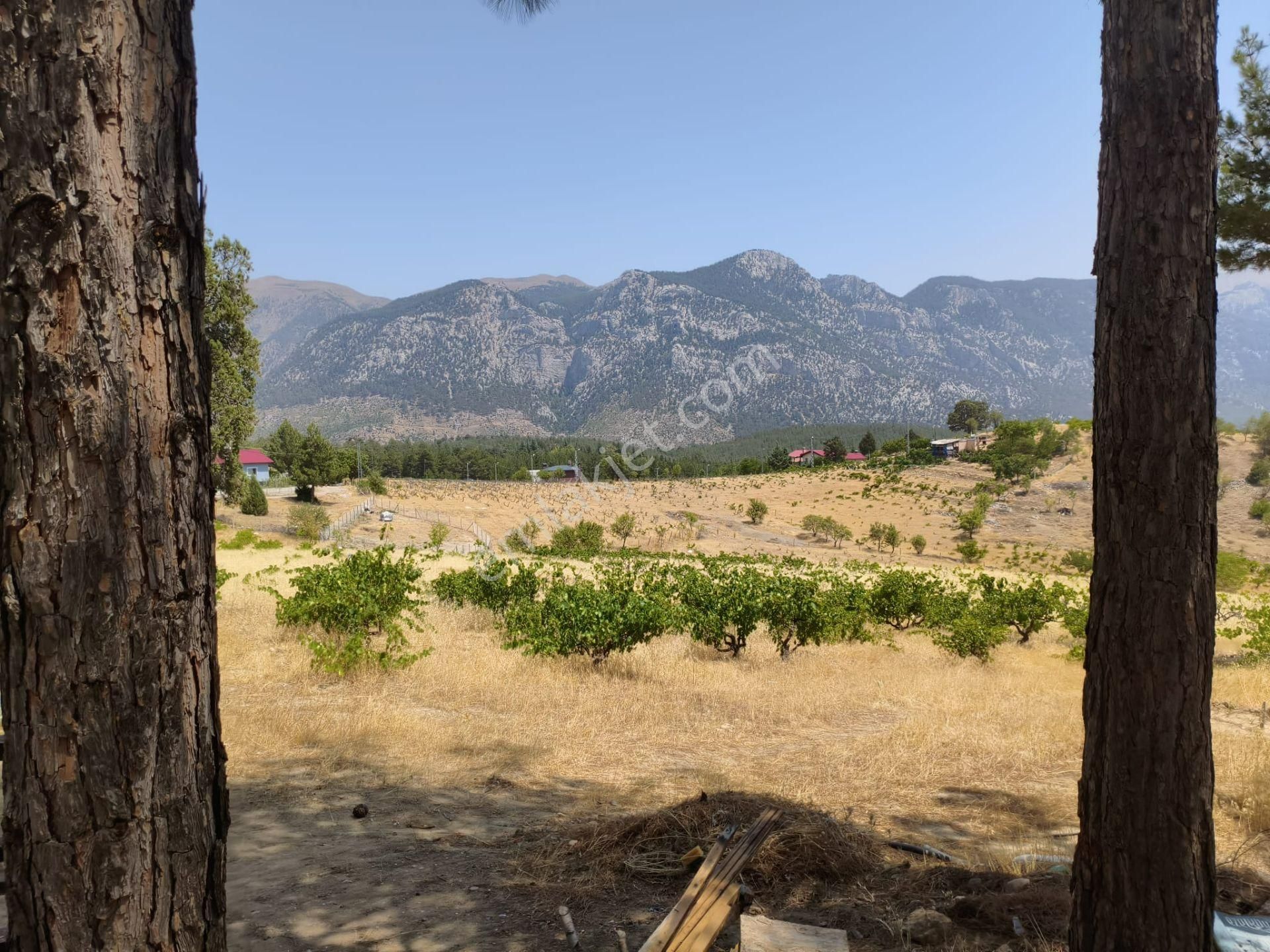 Pozantı Kar Emlaktan Alpu Yaylasında 442 M2 Arsa - Görsel 9