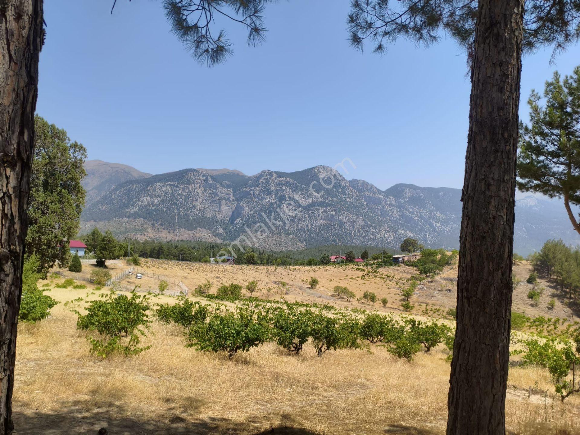 Pozantı Kar Emlaktan Alpu Yaylasında 442 M2 Arsa - Görsel 11