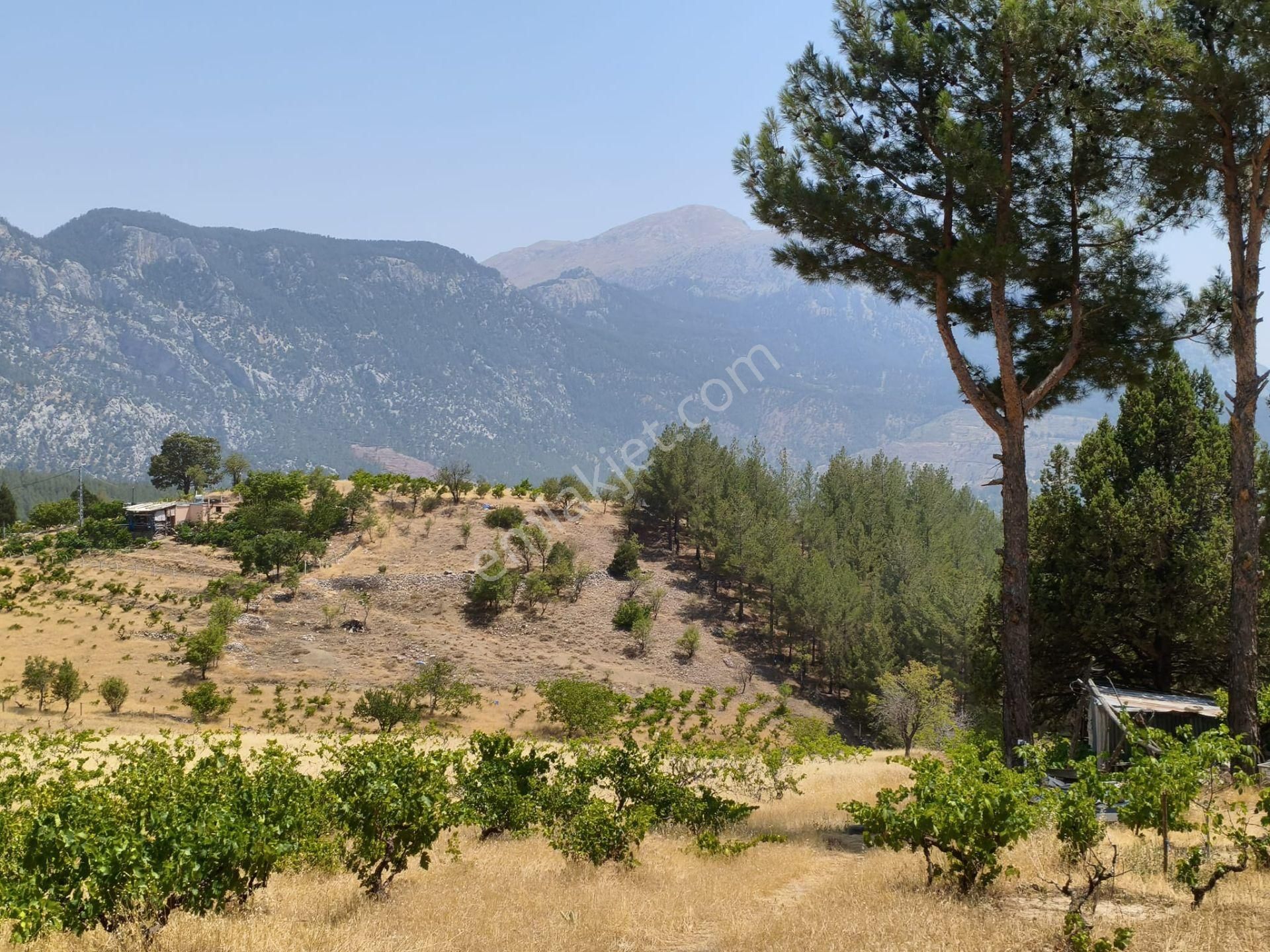 Pozantı Kar Emlaktan Alpu Yaylasında 442 M2 Arsa - Görsel 5