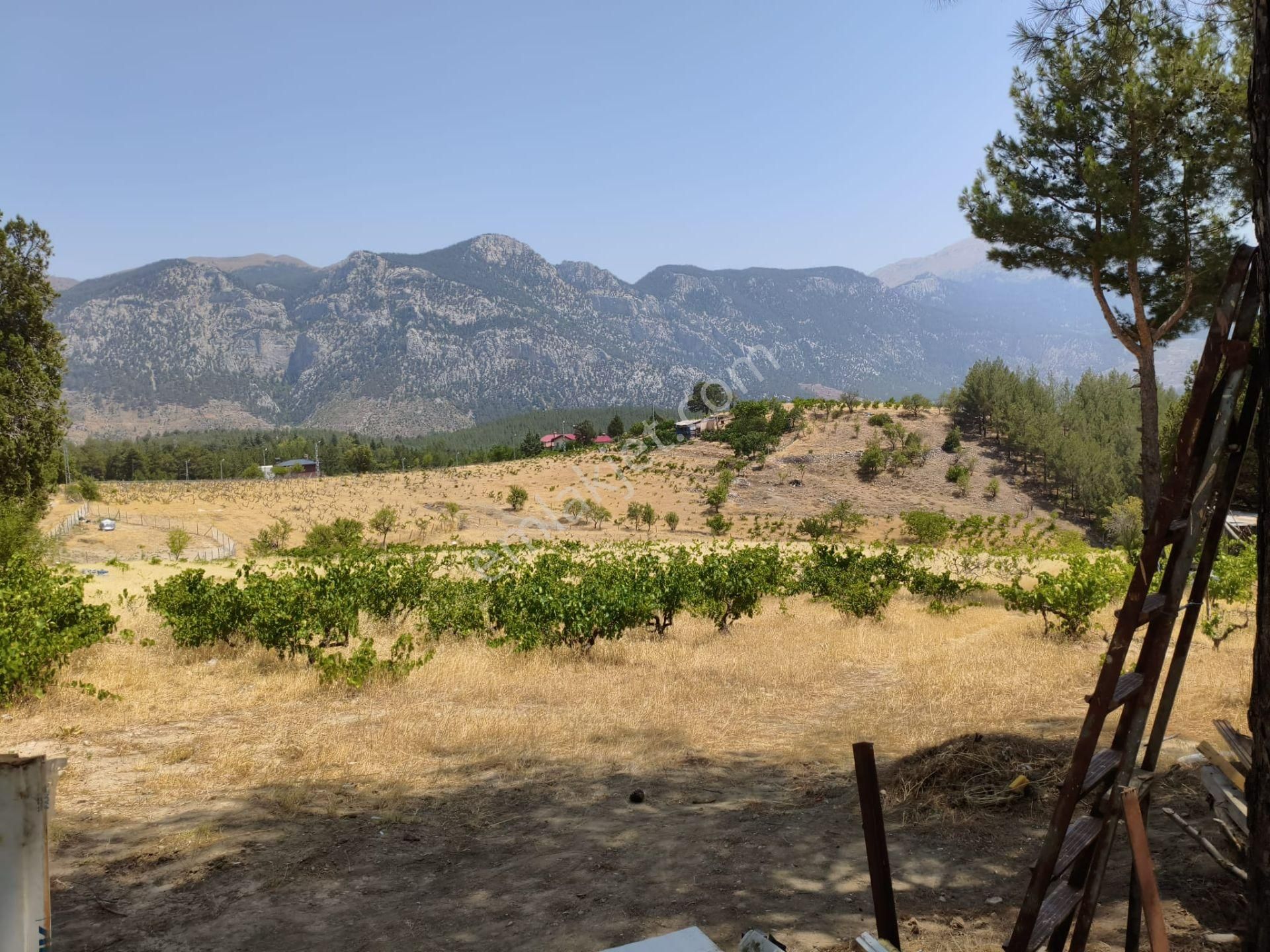 Pozantı Kar Emlaktan Alpu Yaylasında 442 M2 Arsa - Görsel 4