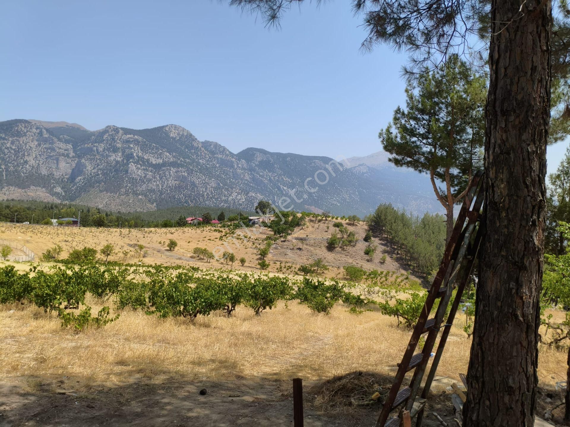 Pozantı Kar Emlaktan Alpu Yaylasında 442 M2 Arsa - Görsel 16