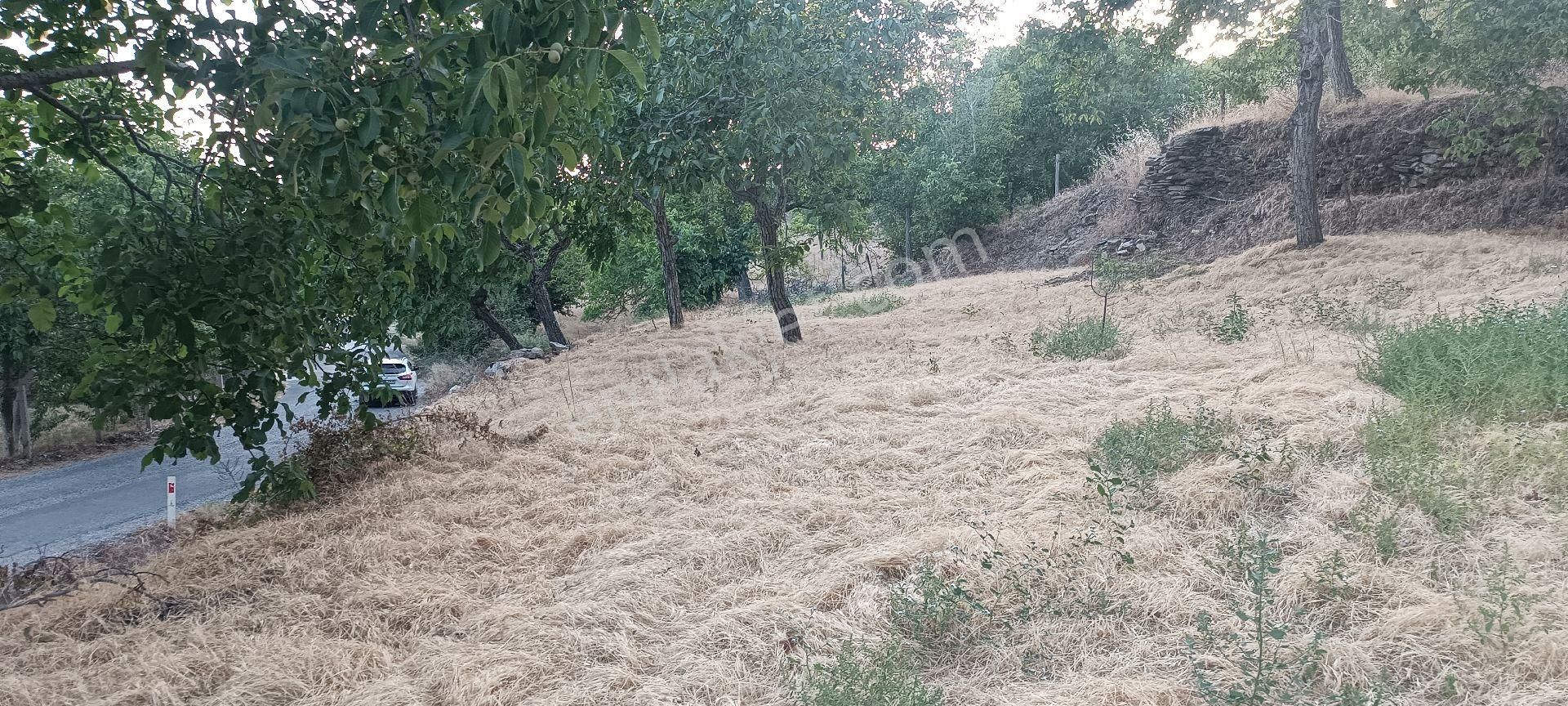 Ali Akdoğan Emlak Ofisinden Satılık Tarla - Görsel 8