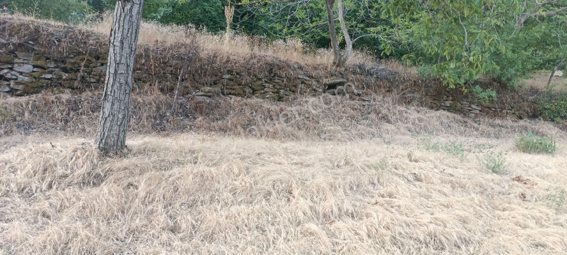 Ali Akdoğan Emlak Ofisinden Satılık Tarla - Görsel 10