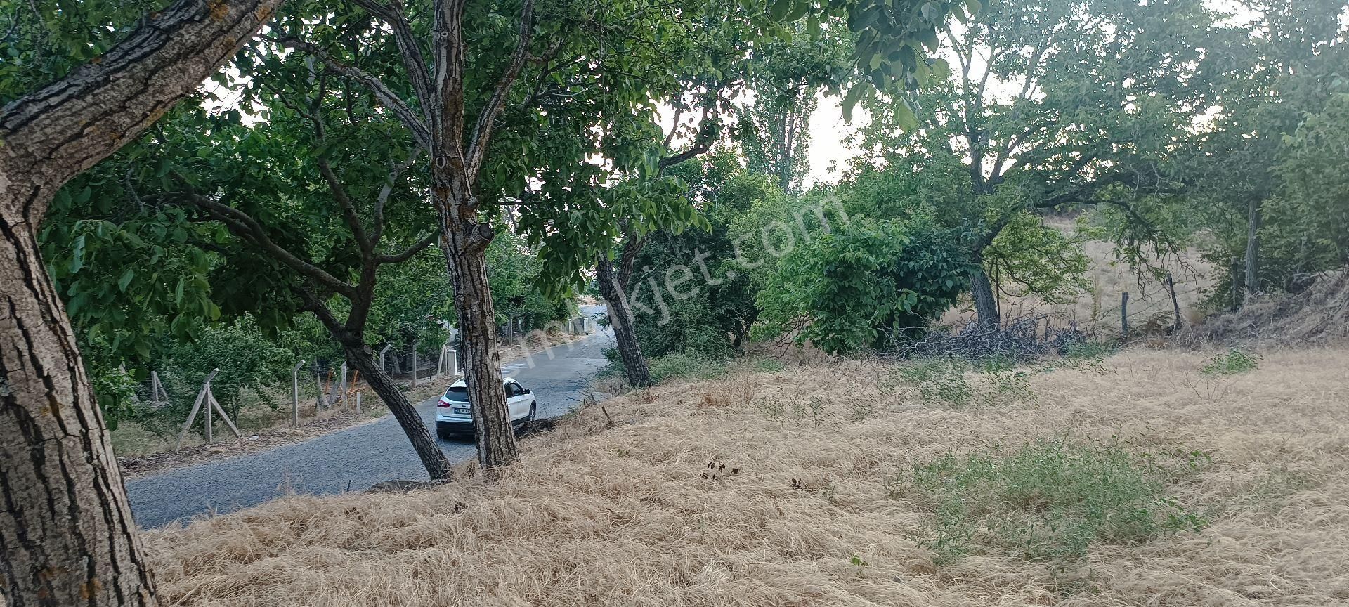 Ali Akdoğan Emlak Ofisinden Satılık Tarla - Görsel 15