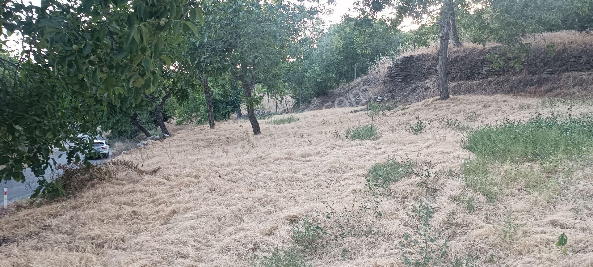 Ali Akdoğan Emlak Ofisinden Satılık Tarla - Görsel 21