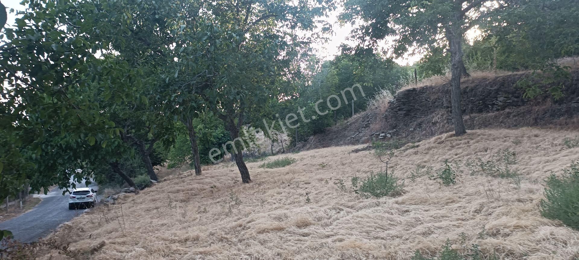 Ali Akdoğan Emlak Ofisinden Satılık Tarla - Görsel 22