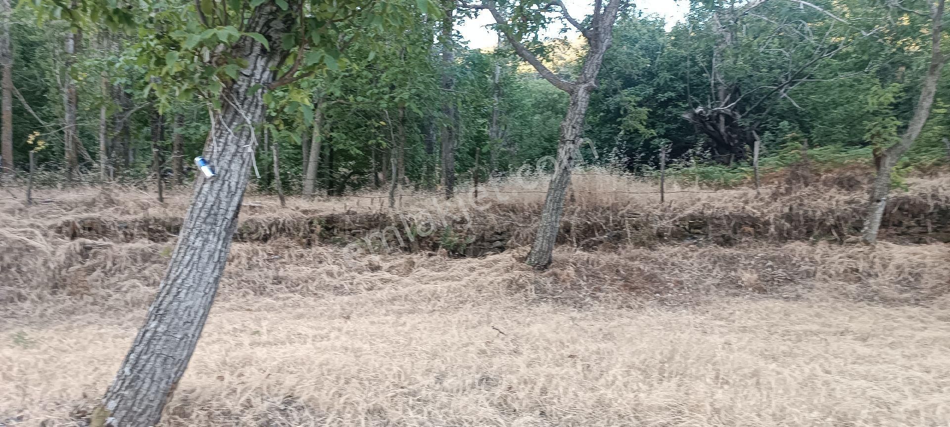 Ali Akdoğan Emlak Ofisinden Satılık Tarla - Görsel 7