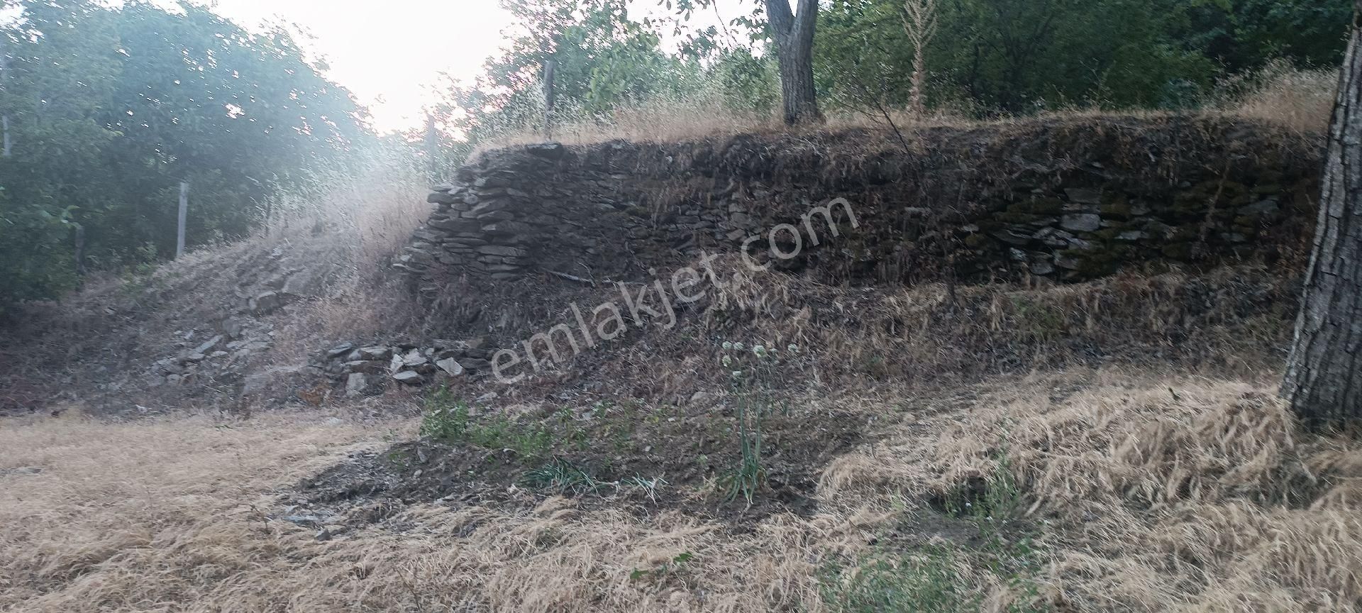 Ali Akdoğan Emlak Ofisinden Satılık Tarla - Görsel 14