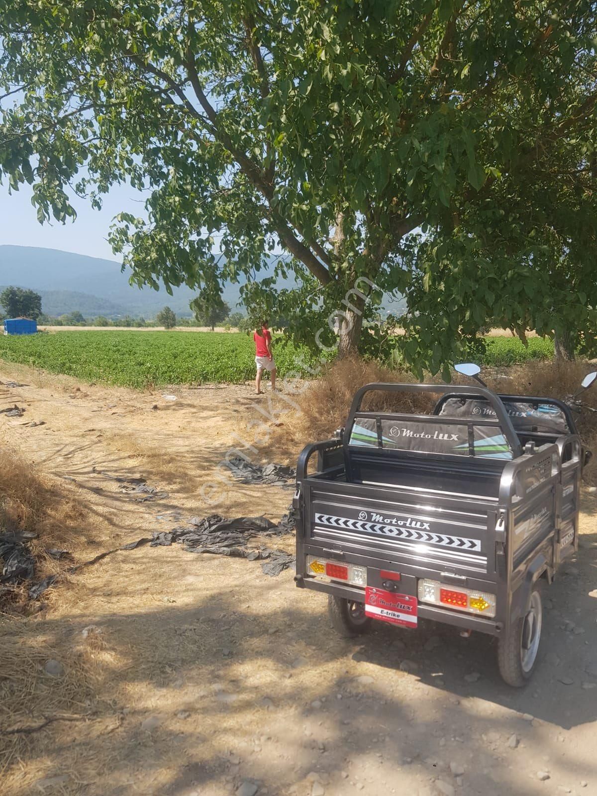 Kazdağları Akçakoyun Satılık - Görsel 4