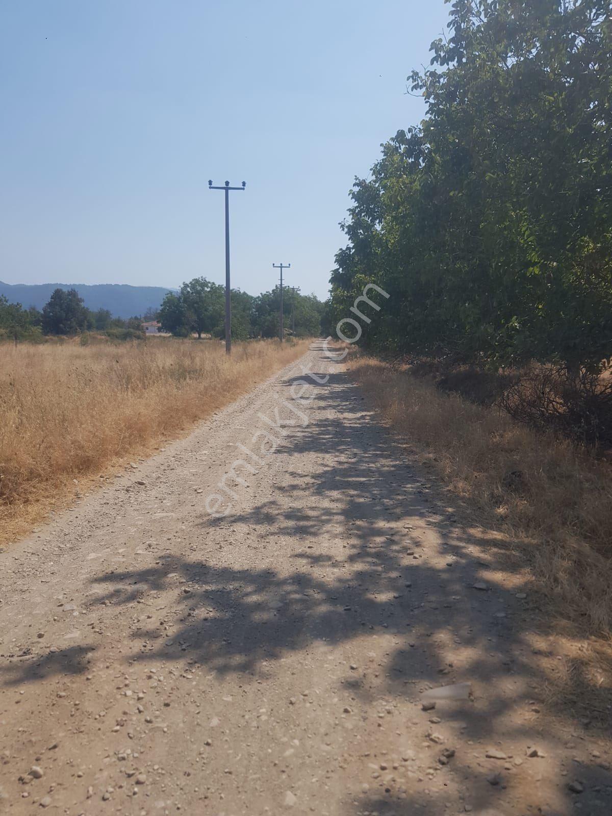 Kazdağları Akçakoyun Satılık - Görsel 5