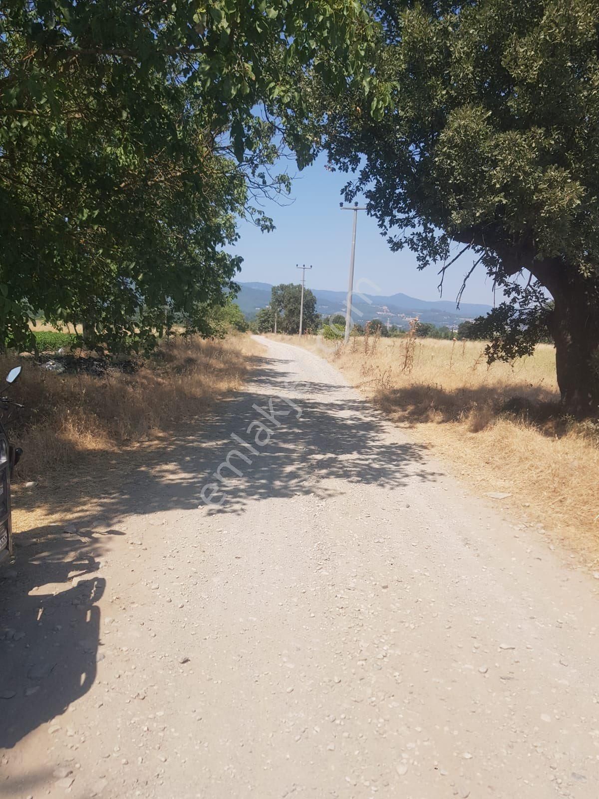 Kazdağları Akçakoyun Satılık