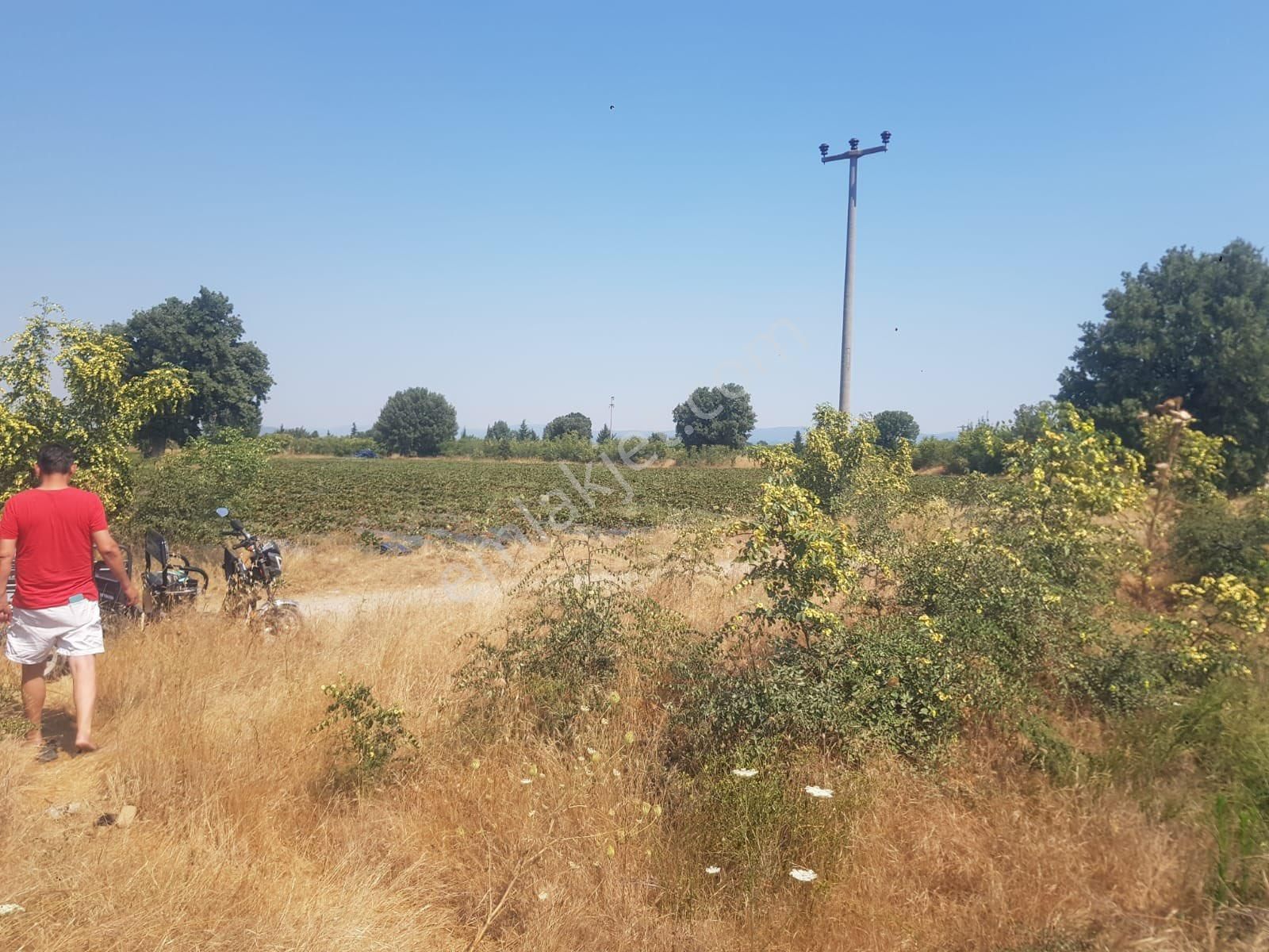 Kazdağları Akçakoyun Satılık