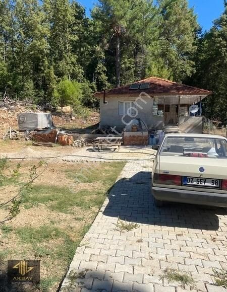 Akbaydan Dutalanında Satılık Yazlık - Görsel 10
