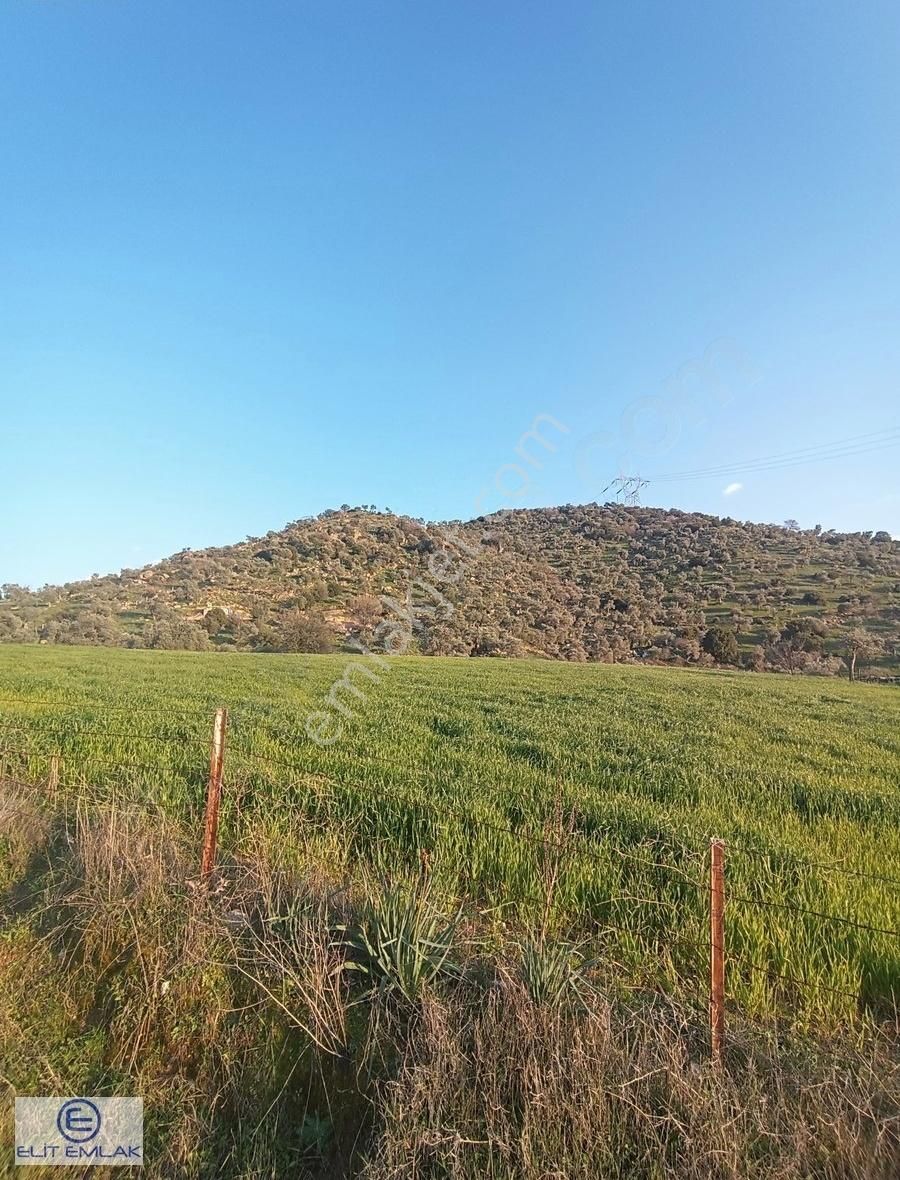 Elit Emlak'tan Satılık Savrandere'de Zeytinlik - Görsel 14