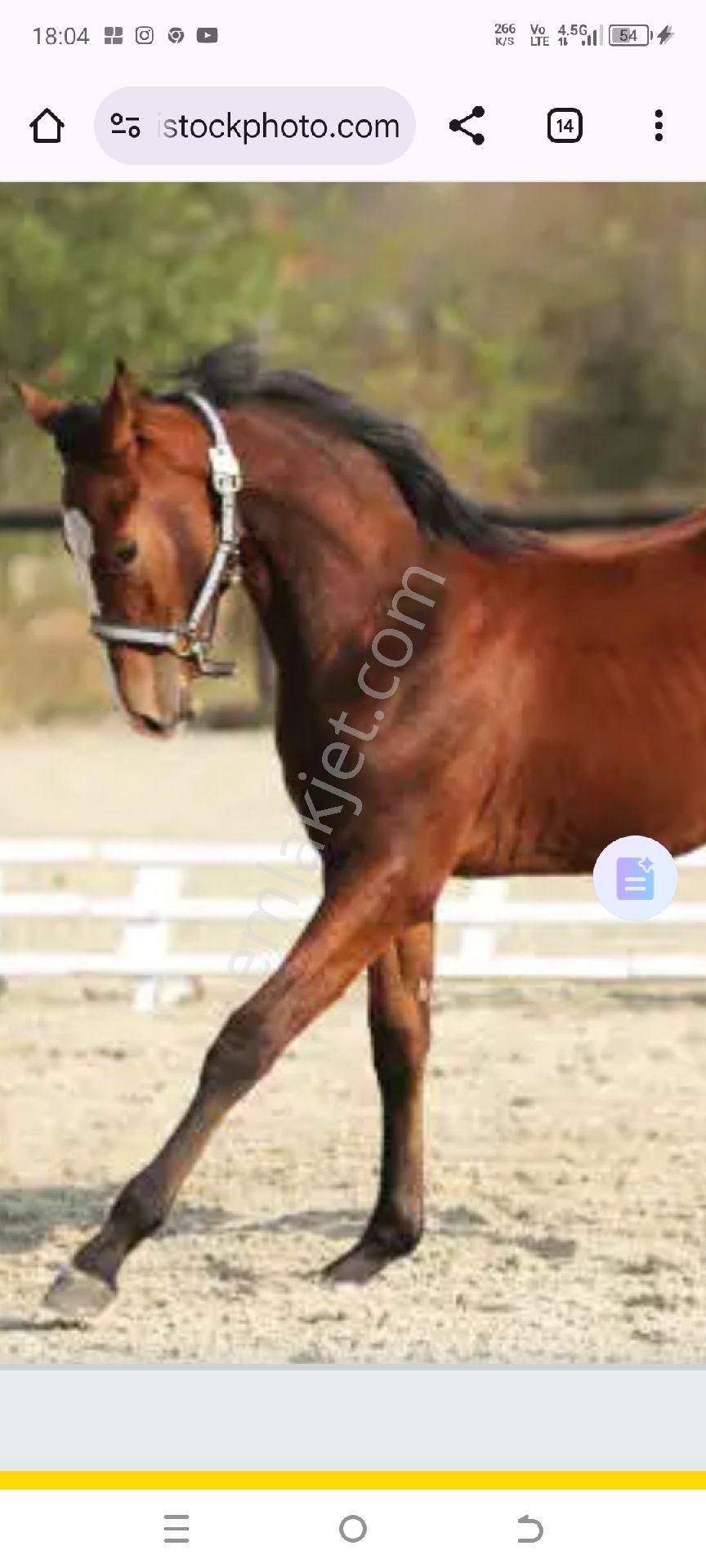 My Ekipden Başkent Ankarada Satılık İmarlı Arsa Hemde Bu Fiyata - Görsel 26