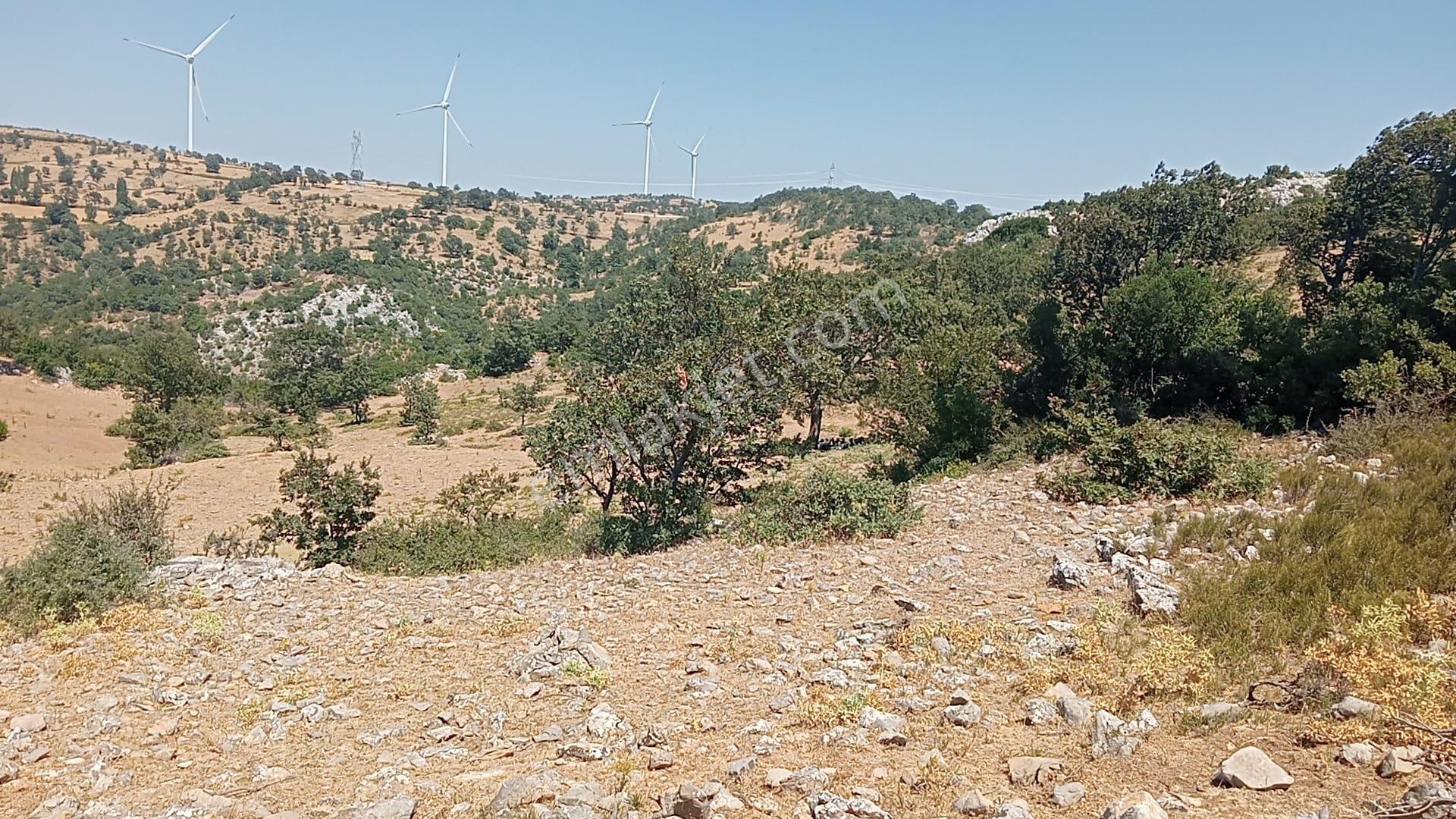 Komutanemlaktan Durmuşlarda 8 Dekar Tarla - Görsel 9