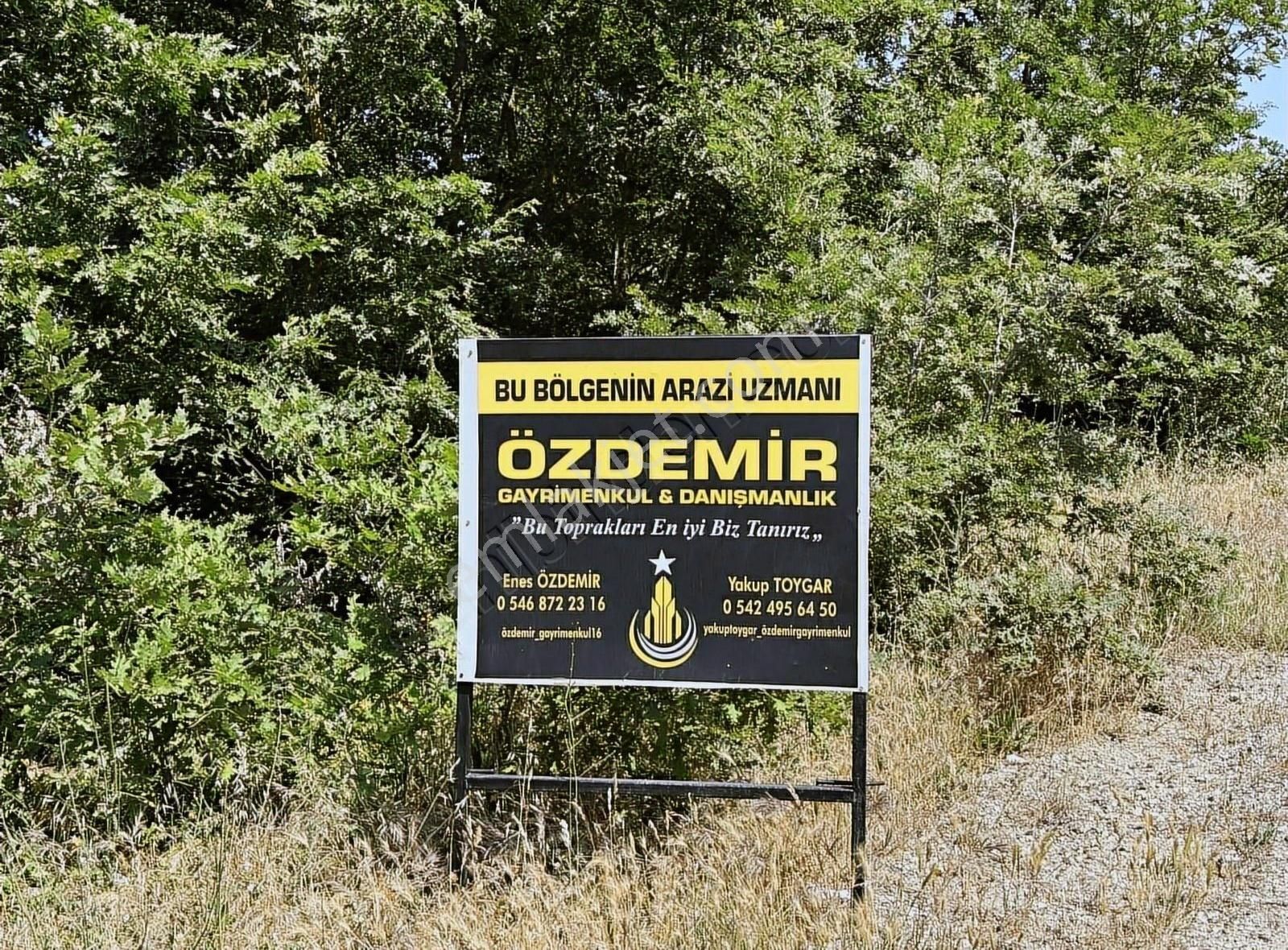 Özdemirden Manzaralı Doğa İçerisinde Komşuları Mevcut