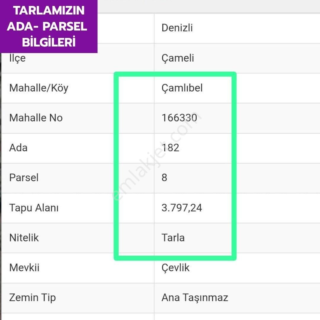 🦋 Lobby Fortis'ten Çameli Çamlıbel'de 5564 M² Tarlamız Satılıktır.🦋 - Görsel 8