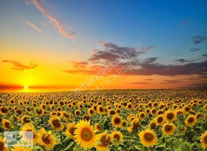 Büyükkılıçlı'da Yerleşim İçinde Satılık 300 M2 Arsa - Görsel 3