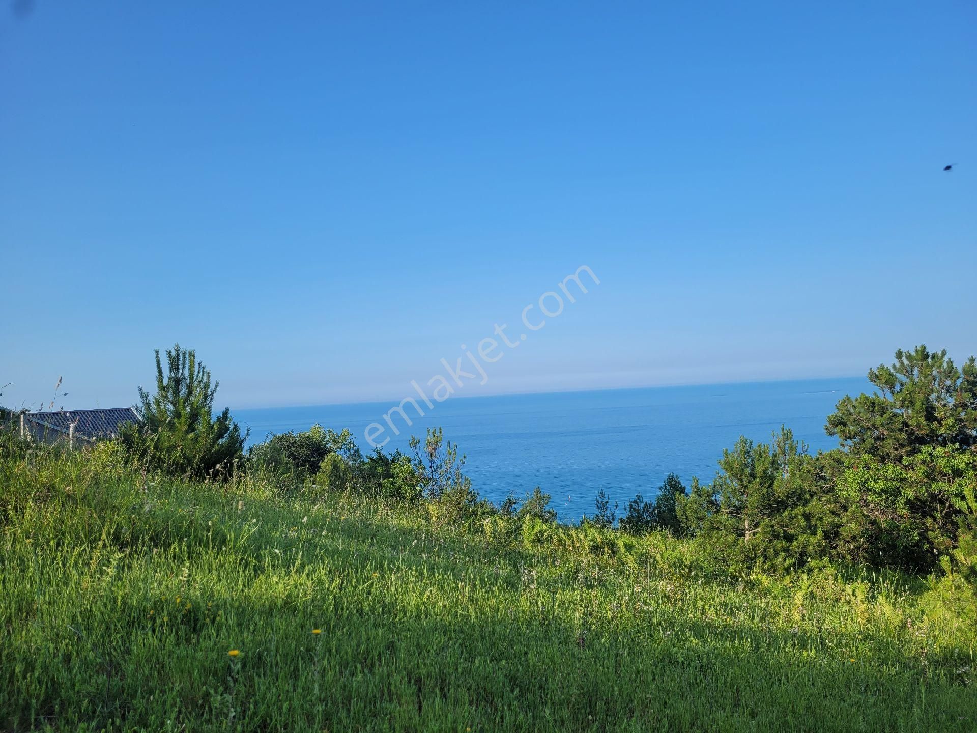 Önü Kapanmaz Deniz Ve Dağ Manzaralı, Samsun Yoluna Cephe, 1.256 Metre Kare