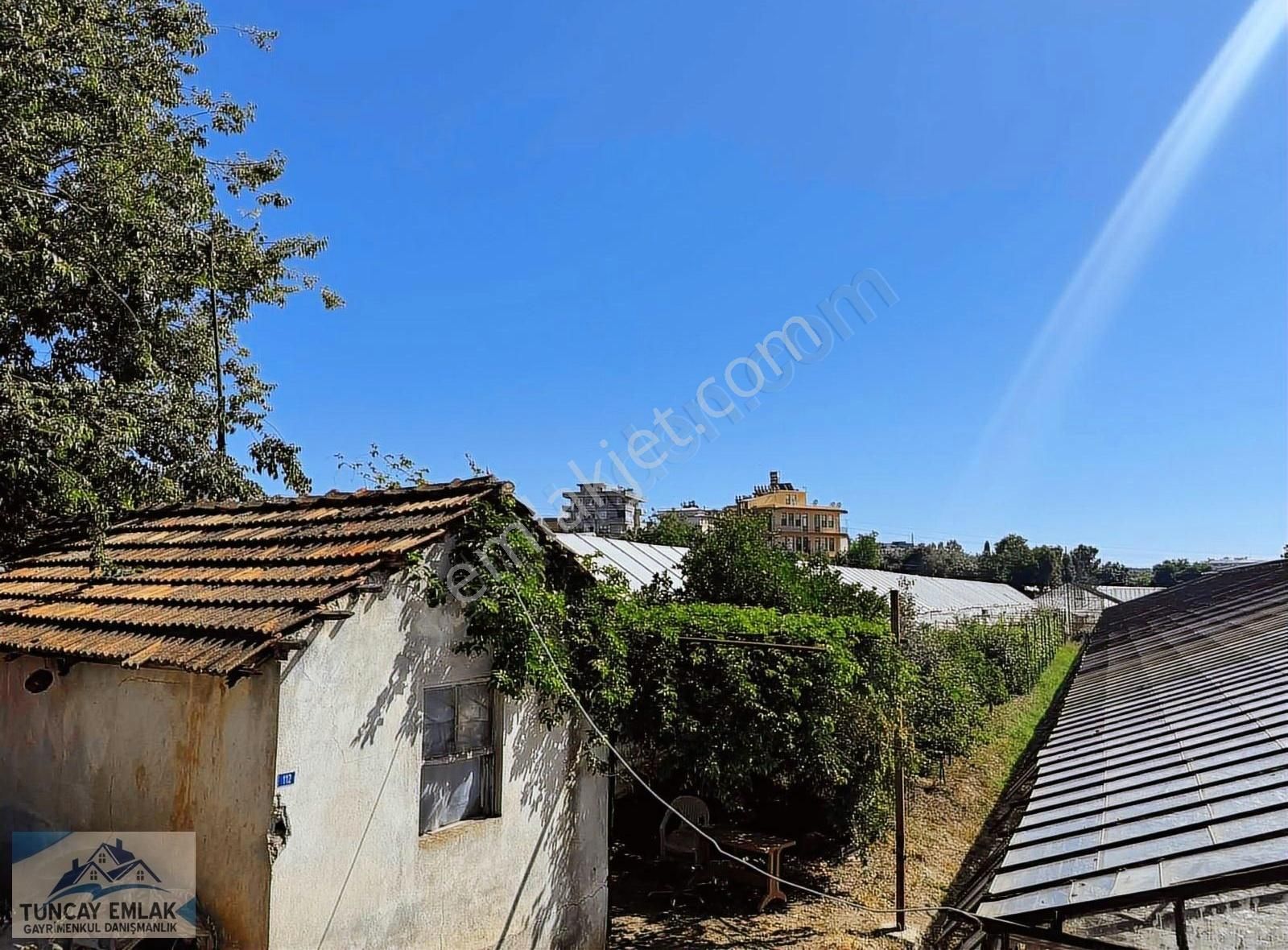 Devren Kiralık Ejder Meyvesi Sera Bahcesi 3200 Metre İçinde - Görsel 14