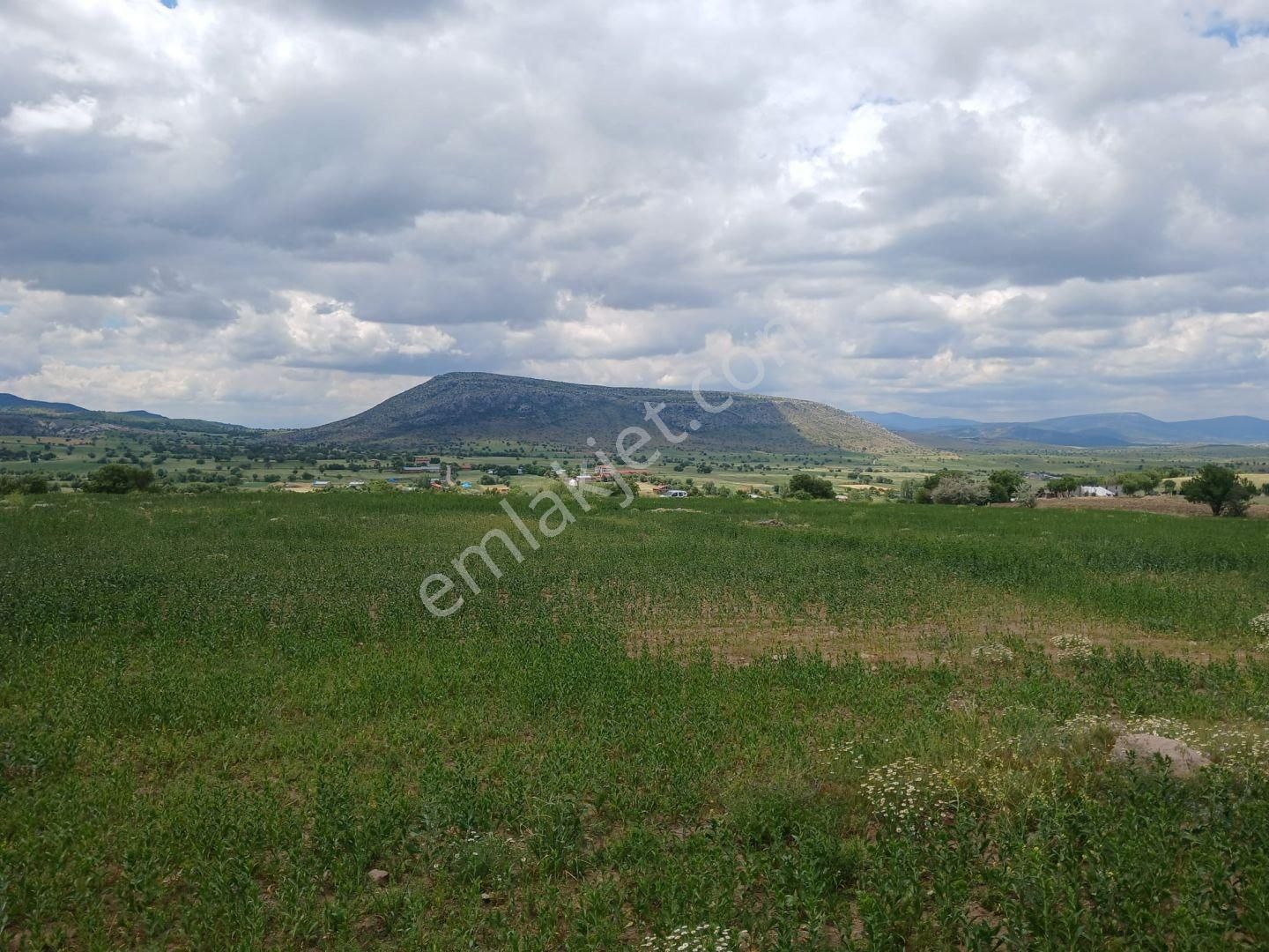 Konya / Beyşehir / Eğirler Mahallesinde 12.979 M² Müstakil Tapulu Tarla