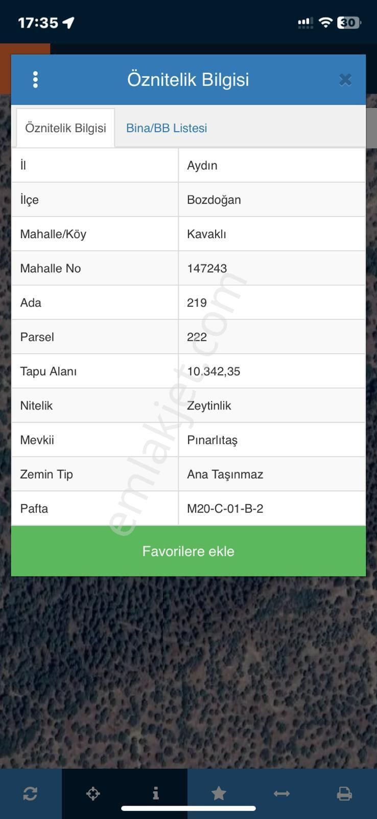 Has Umut Emlaktan Satılık Zeytinlik - Görsel 6