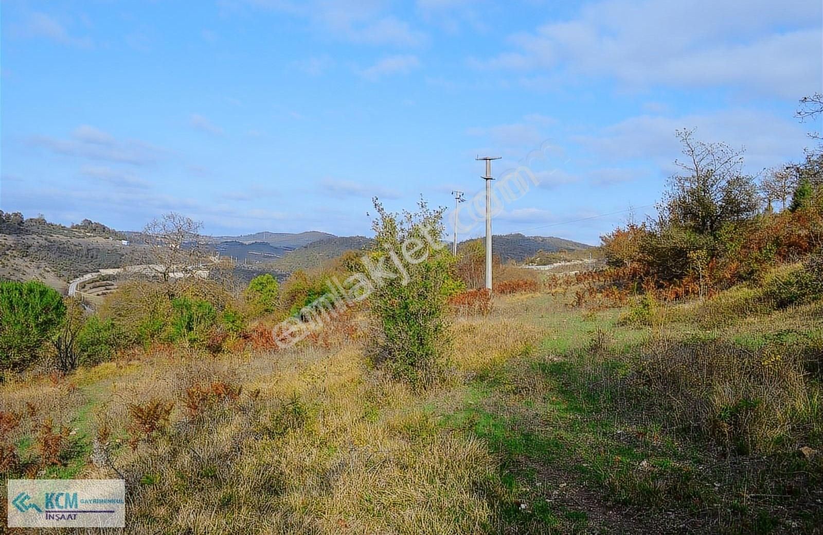 Gebze Duraklı Elbizli De Ana Asfalta Cephe 5000 M² Satılık Arsa - Görsel 5