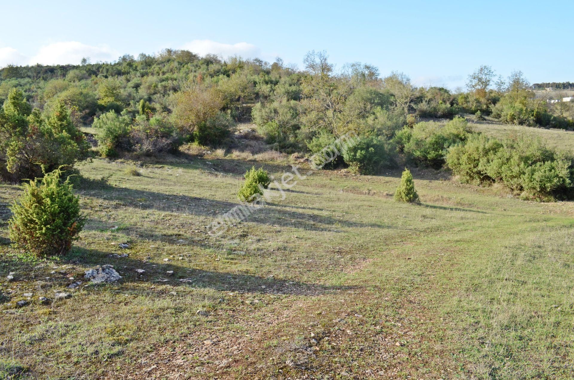 Gebze Duraklı Köyünde 10.000 M2 Satılık Villa Arsası - Görsel 6
