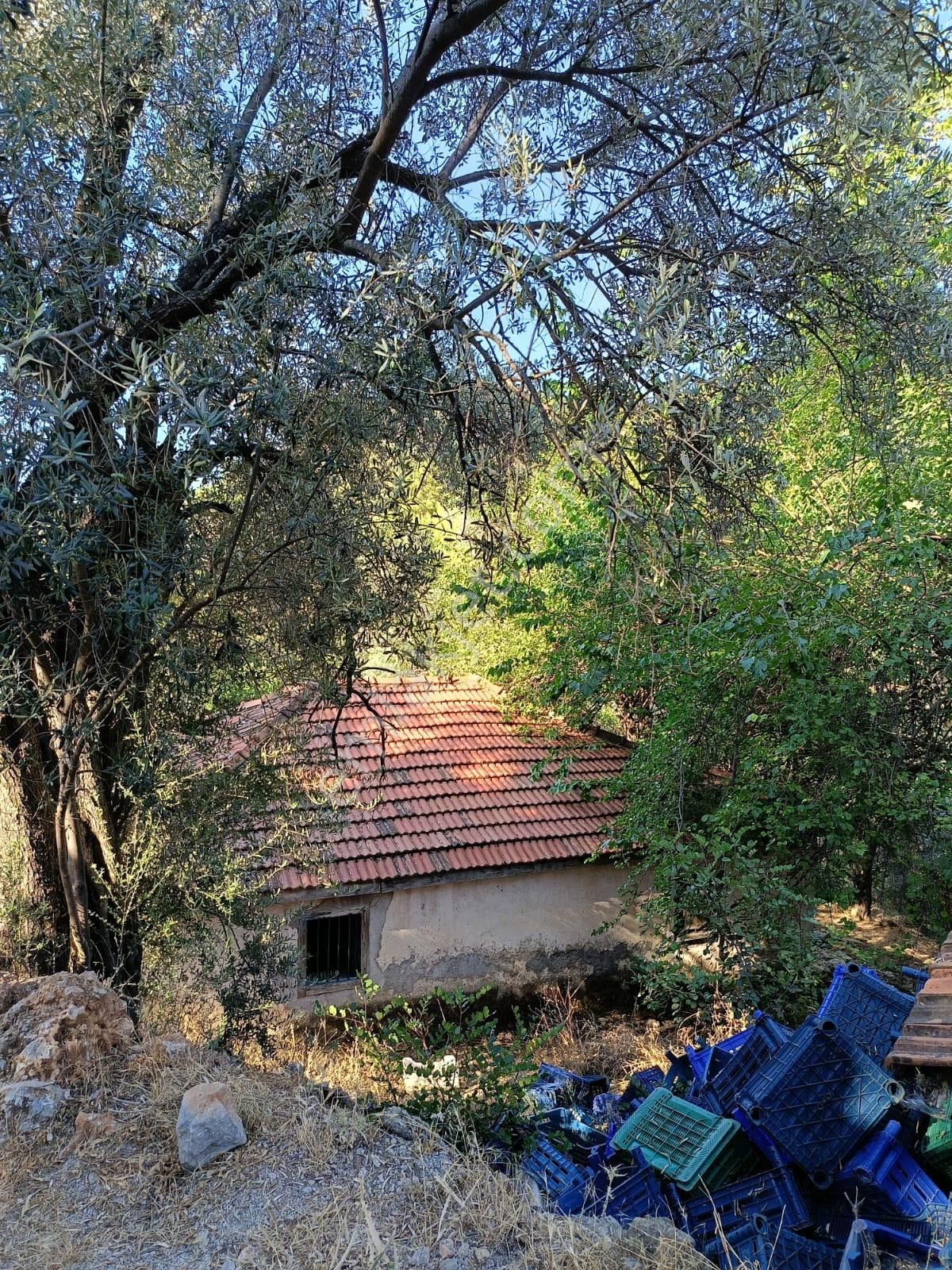 İçinde Kevgir Evi Kayıtlı Olan Arazi - Görsel 2
