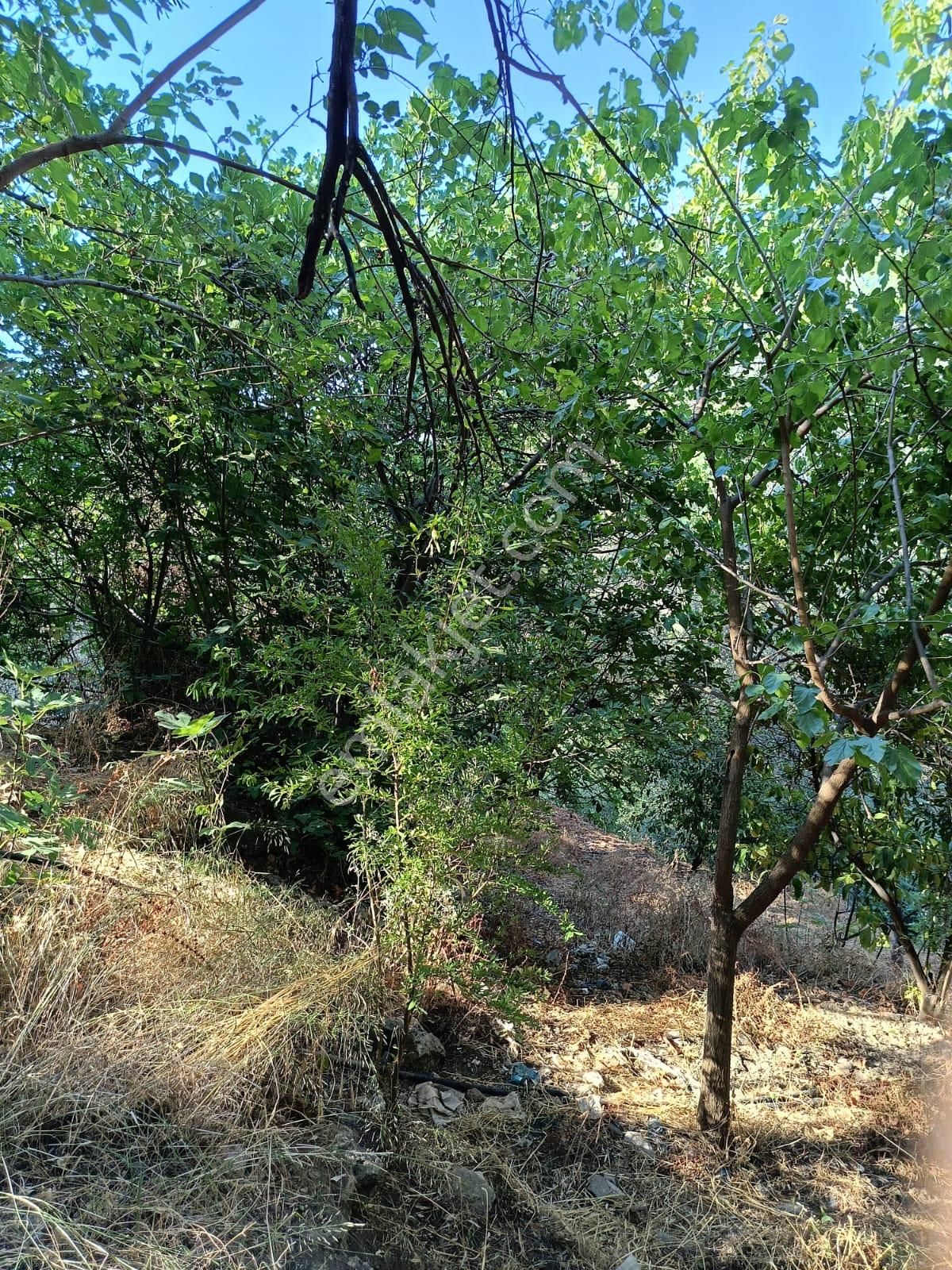 İçinde Kevgir Evi Kayıtlı Olan Arazi - Görsel 8