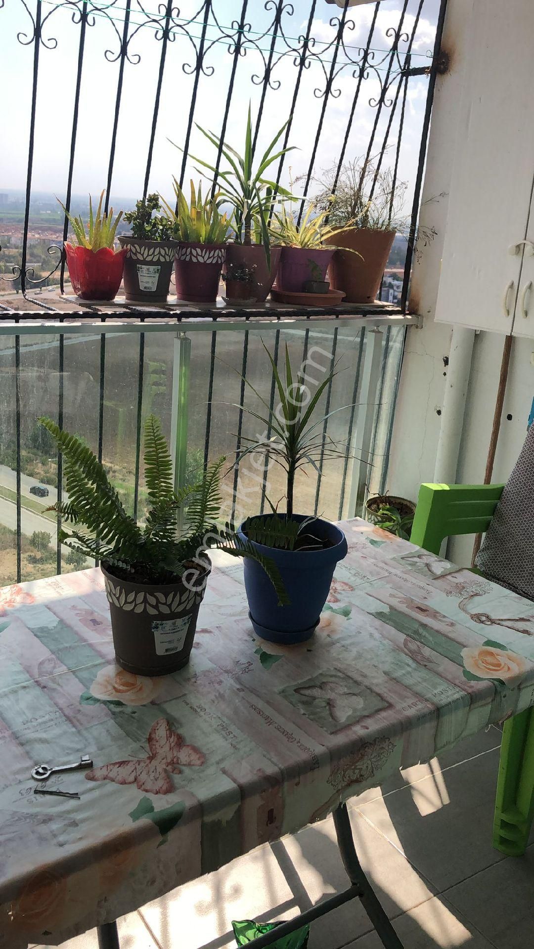 Yüzüncü Yıl Altıneler Okul Civarı Kaçmaz Daire. - Görsel 12