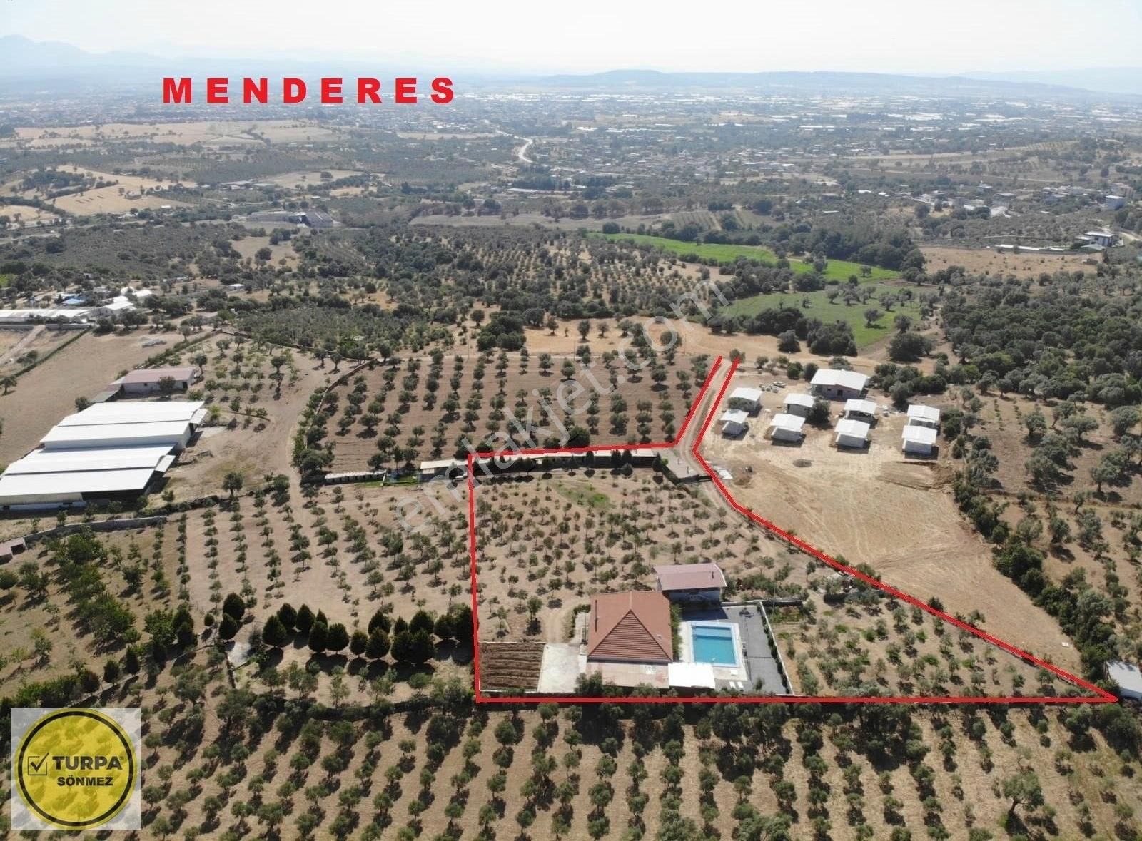 Akçaköy' De; 8 Dönüm - Satılık Havuzlu Malikhane Ve Zeytinlik - Görsel 4