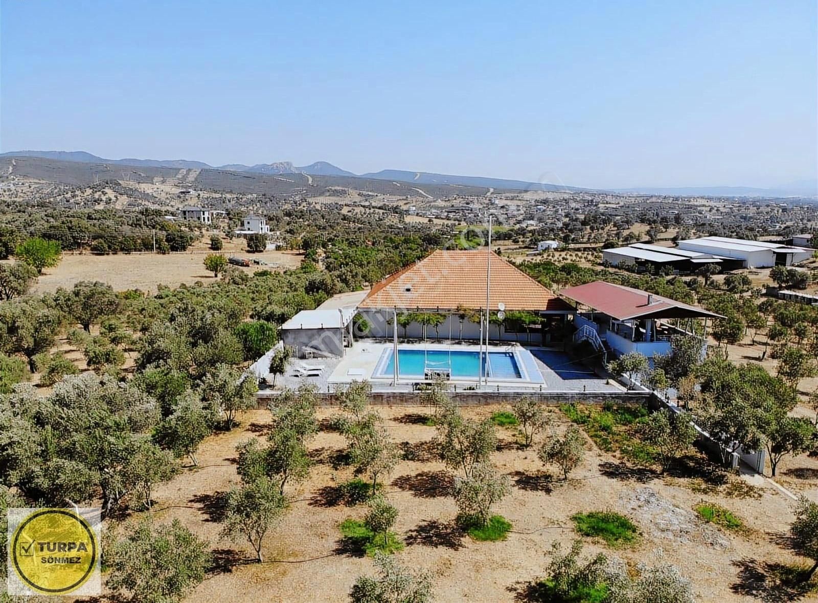 Akçaköy' De; 8 Dönüm - Satılık Havuzlu Malikhane Ve Zeytinlik - Görsel 22