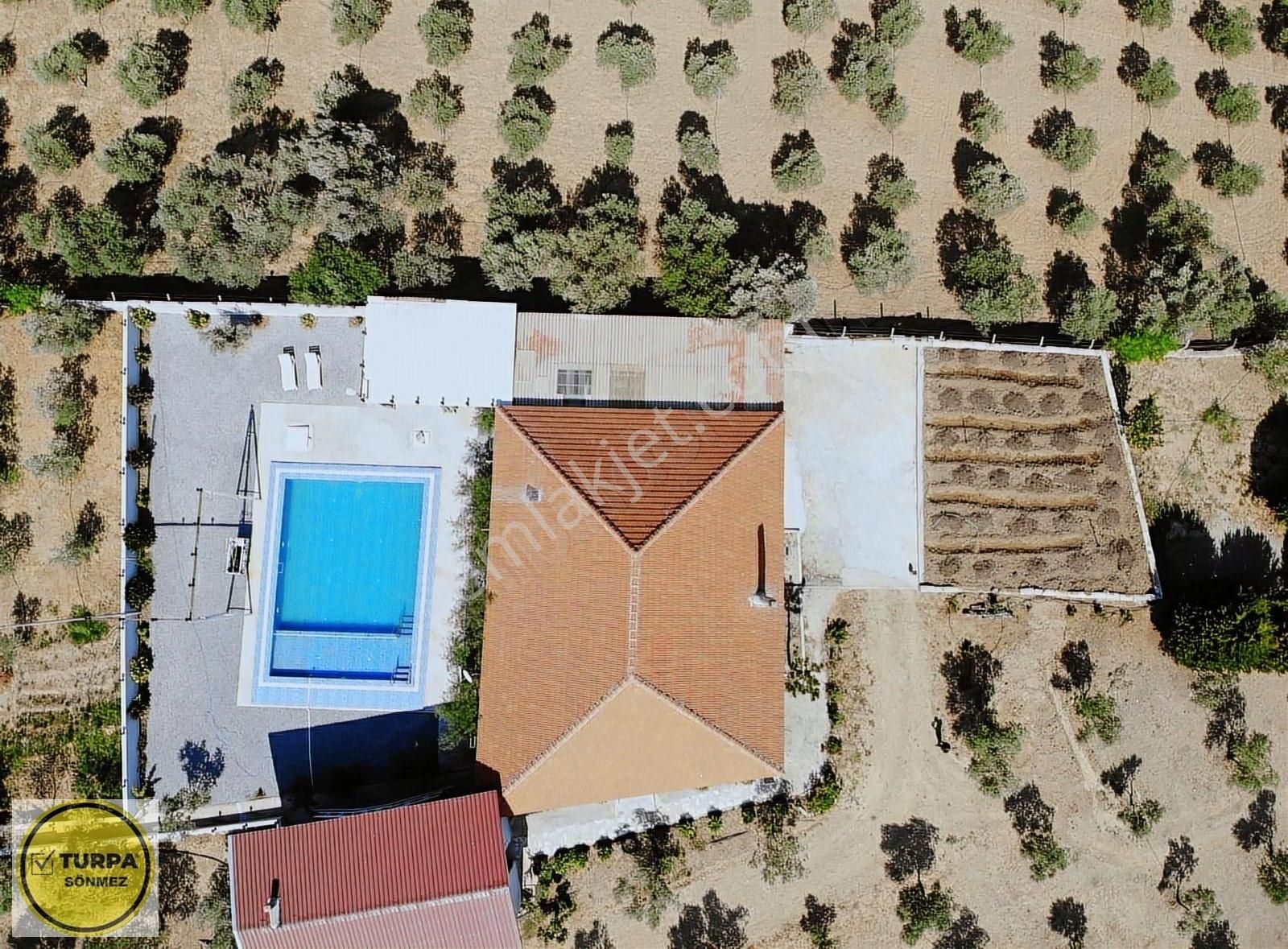 Akçaköy' De; 8 Dönüm - Satılık Havuzlu Malikhane Ve Zeytinlik - Görsel 25