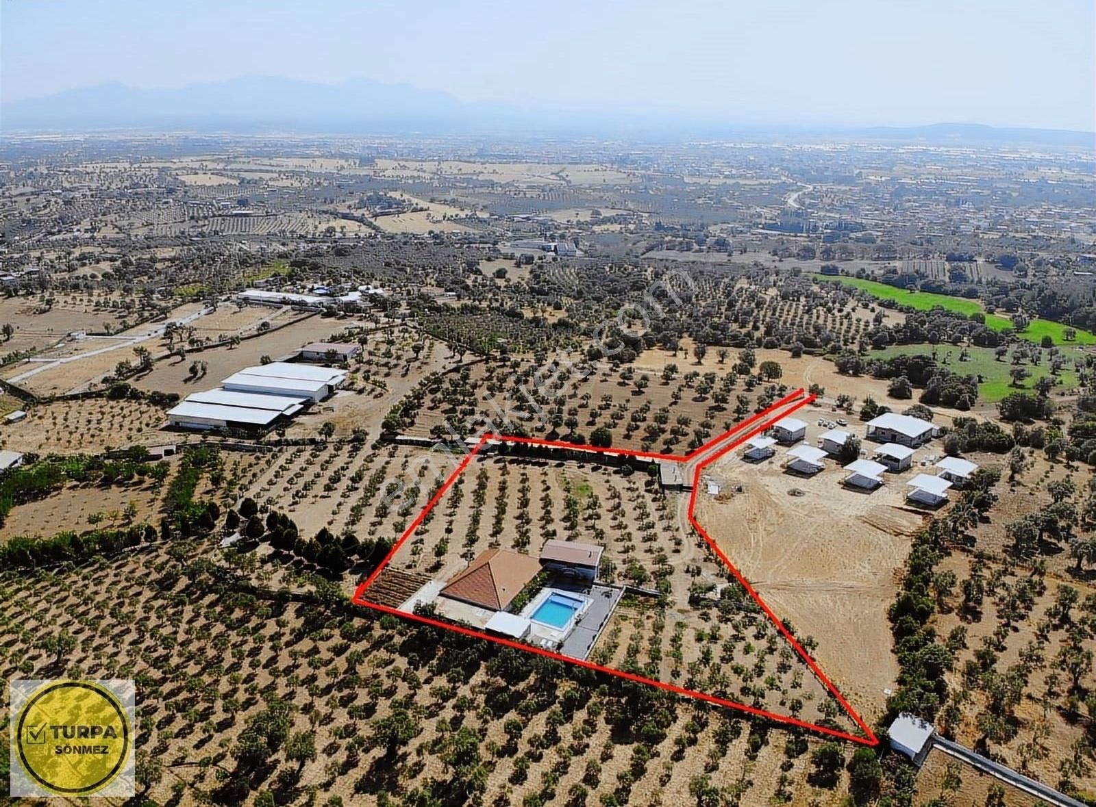 Akçaköy' De; 8 Dönüm - Satılık Havuzlu Malikhane Ve Zeytinlik - Görsel 13