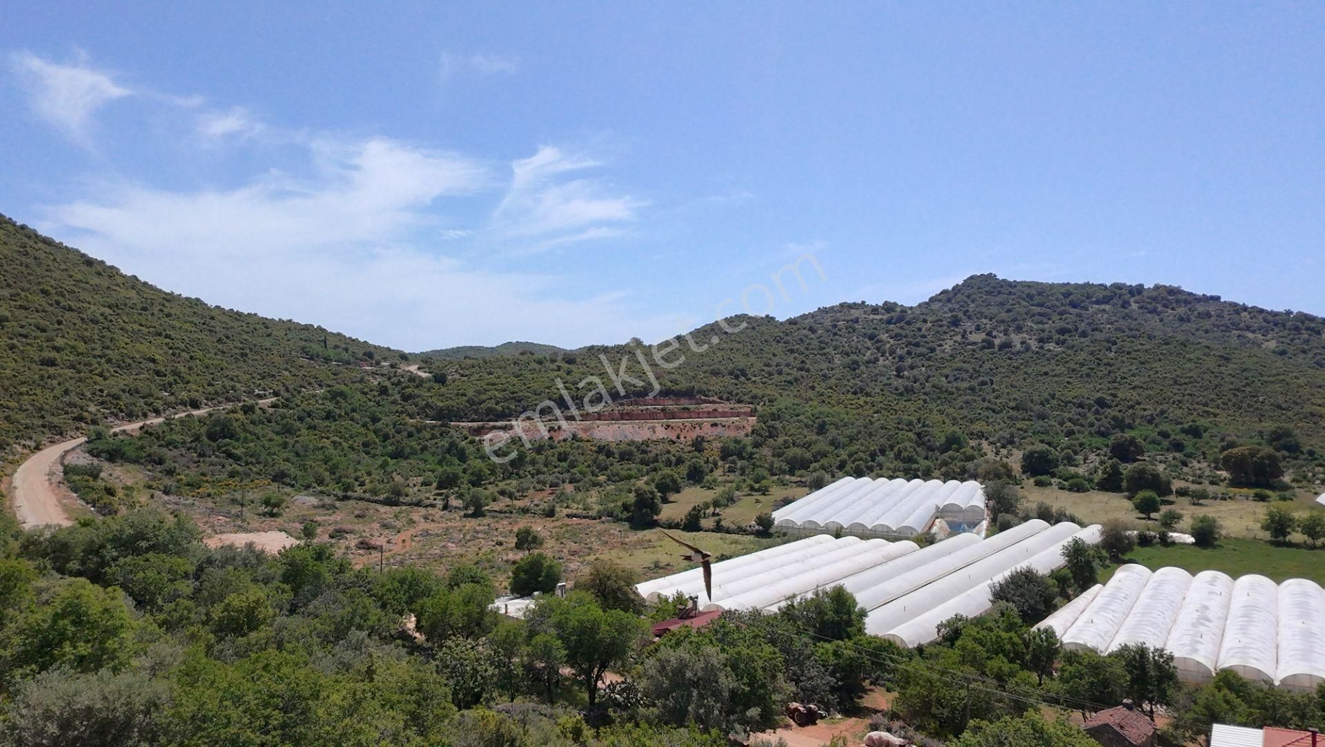 Antalya Kaş Satılık Taş Ev Ve Badem Bahçesi - Görsel 8