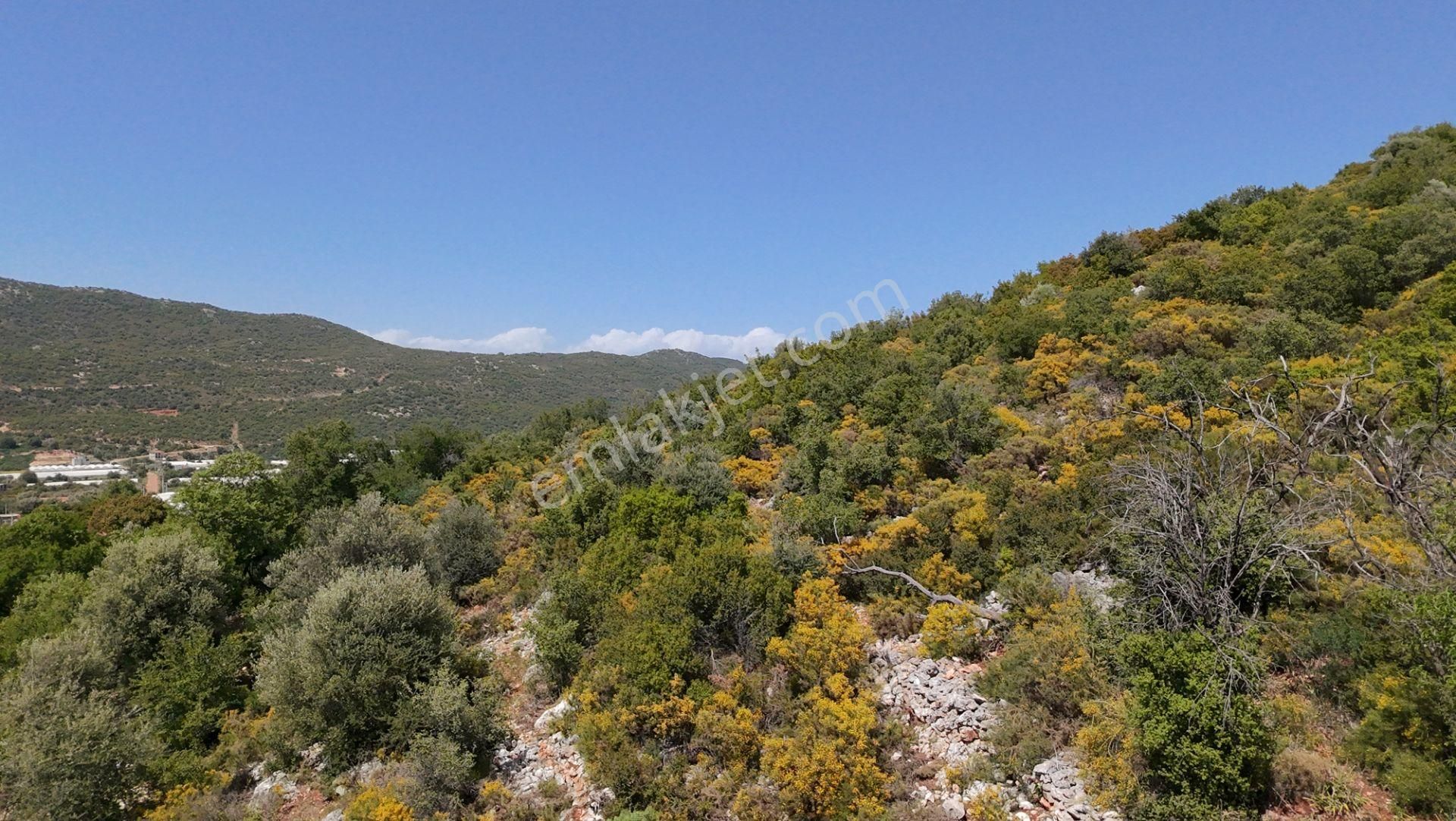 Antalya Kaş Satılık Taş Ev Ve Badem Bahçesi - Görsel 10