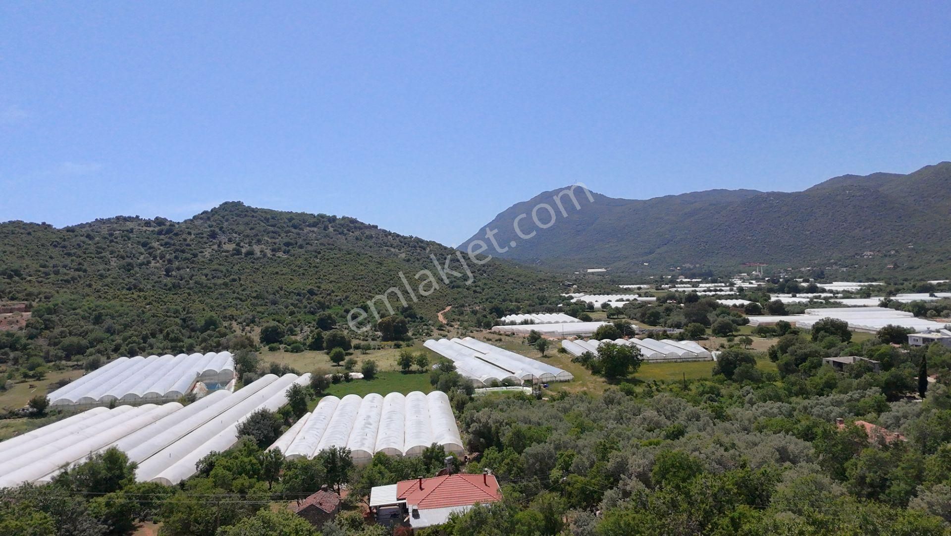 Antalya Kaş Satılık Taş Ev Ve Badem Bahçesi - Görsel 5