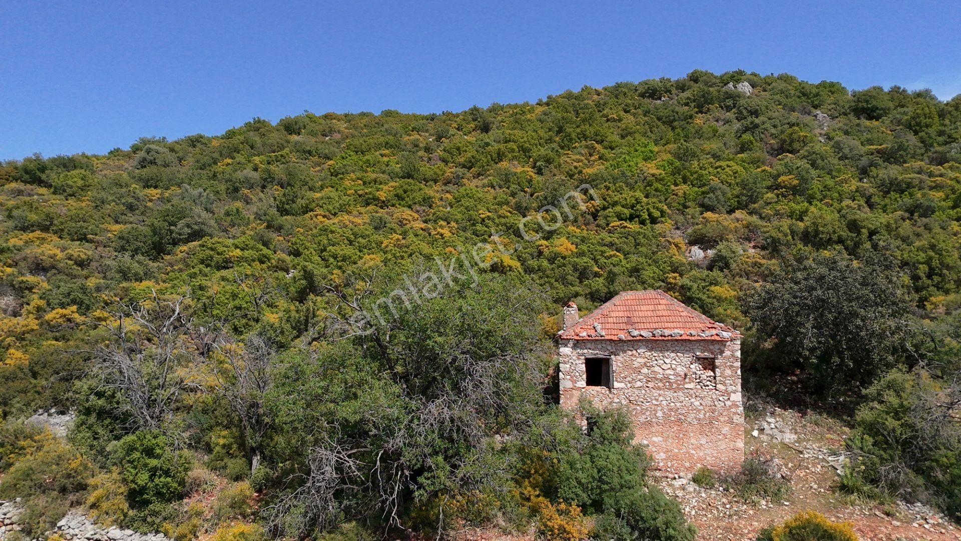 Antalya Kaş Satılık Taş Ev Ve Badem Bahçesi - Görsel 2