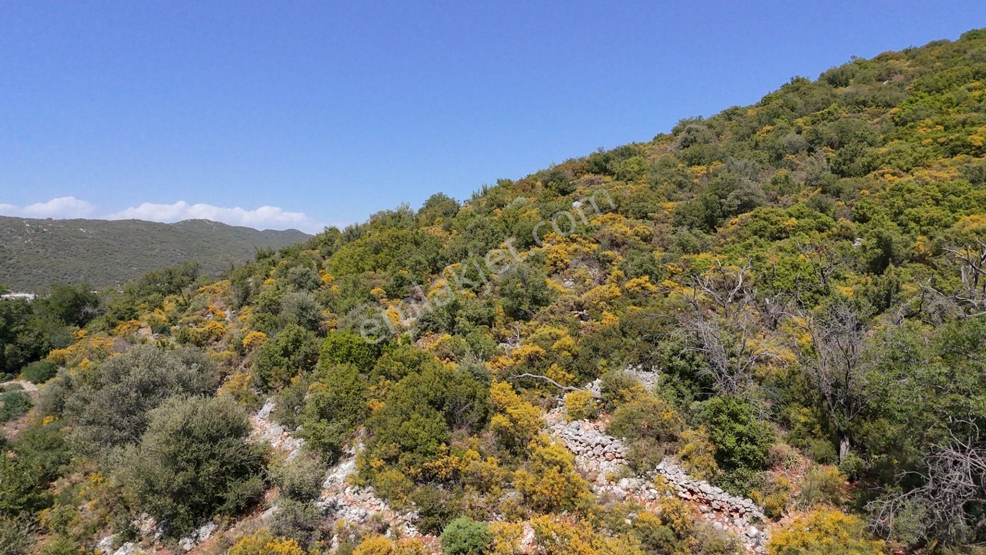 Antalya Kaş Satılık Taş Ev Ve Badem Bahçesi - Görsel 4