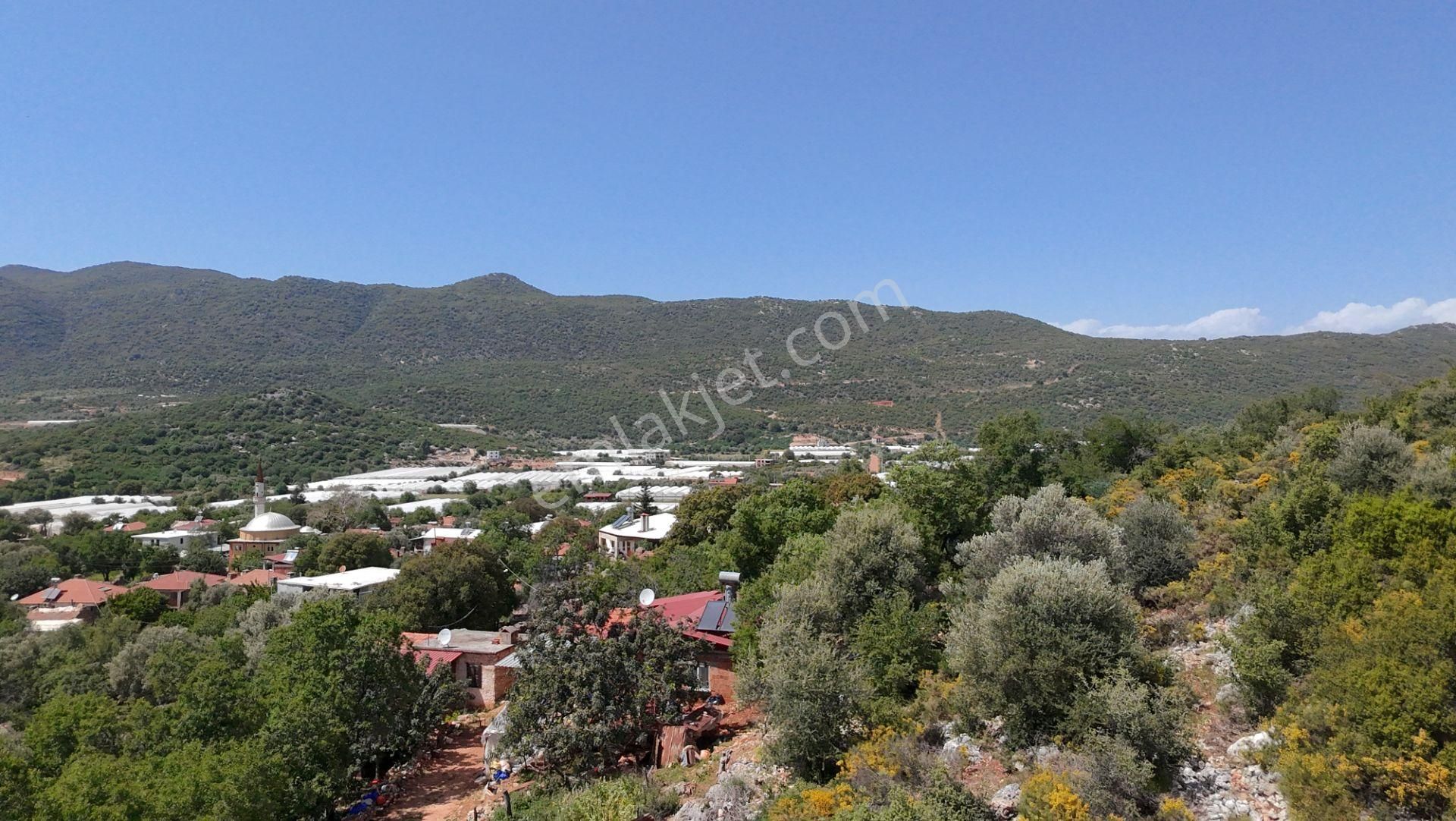 Antalya Kaş Satılık Taş Ev Ve Badem Bahçesi - Görsel 6