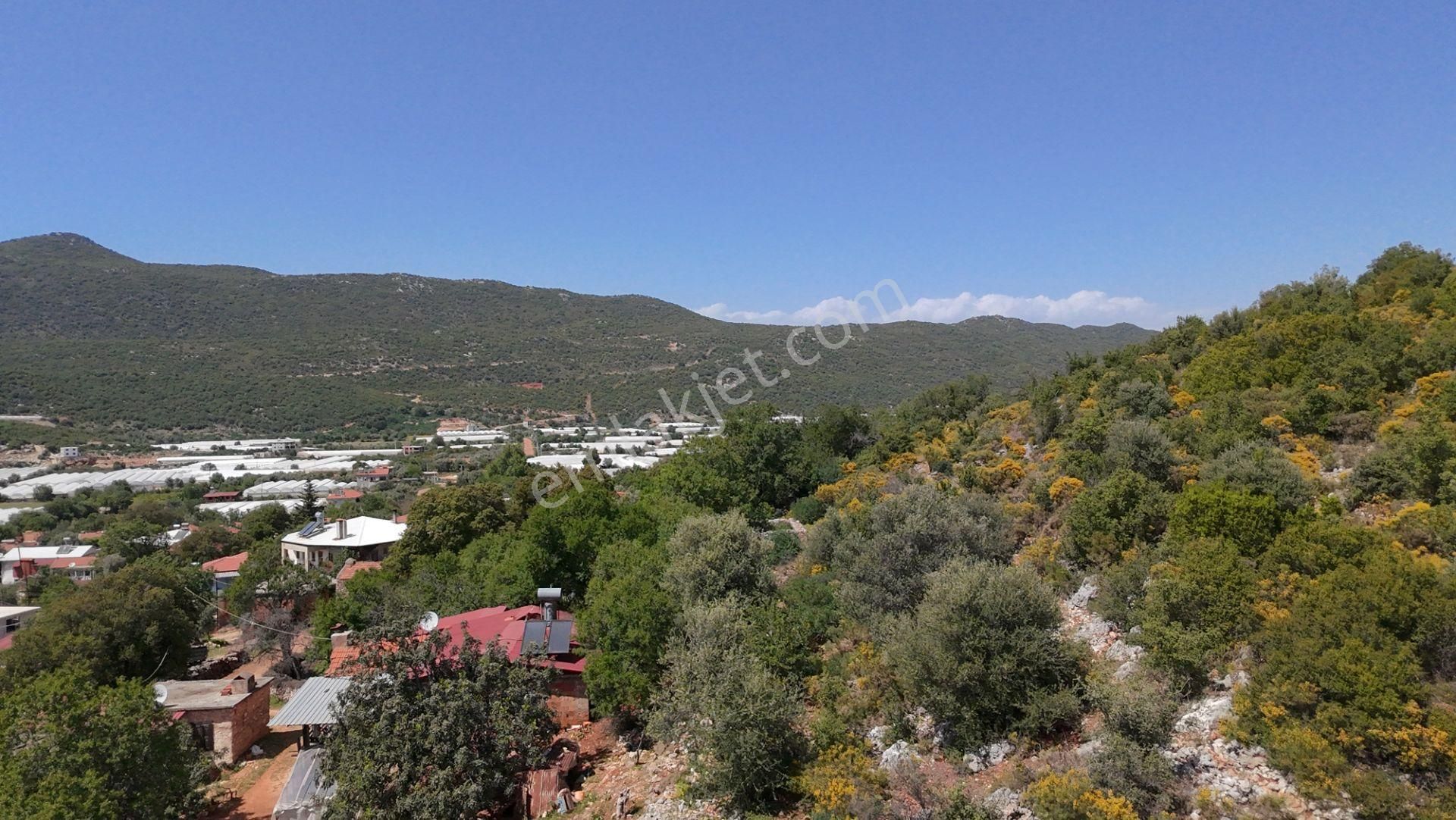 Antalya Kaş Satılık Taş Ev Ve Badem Bahçesi - Görsel 7