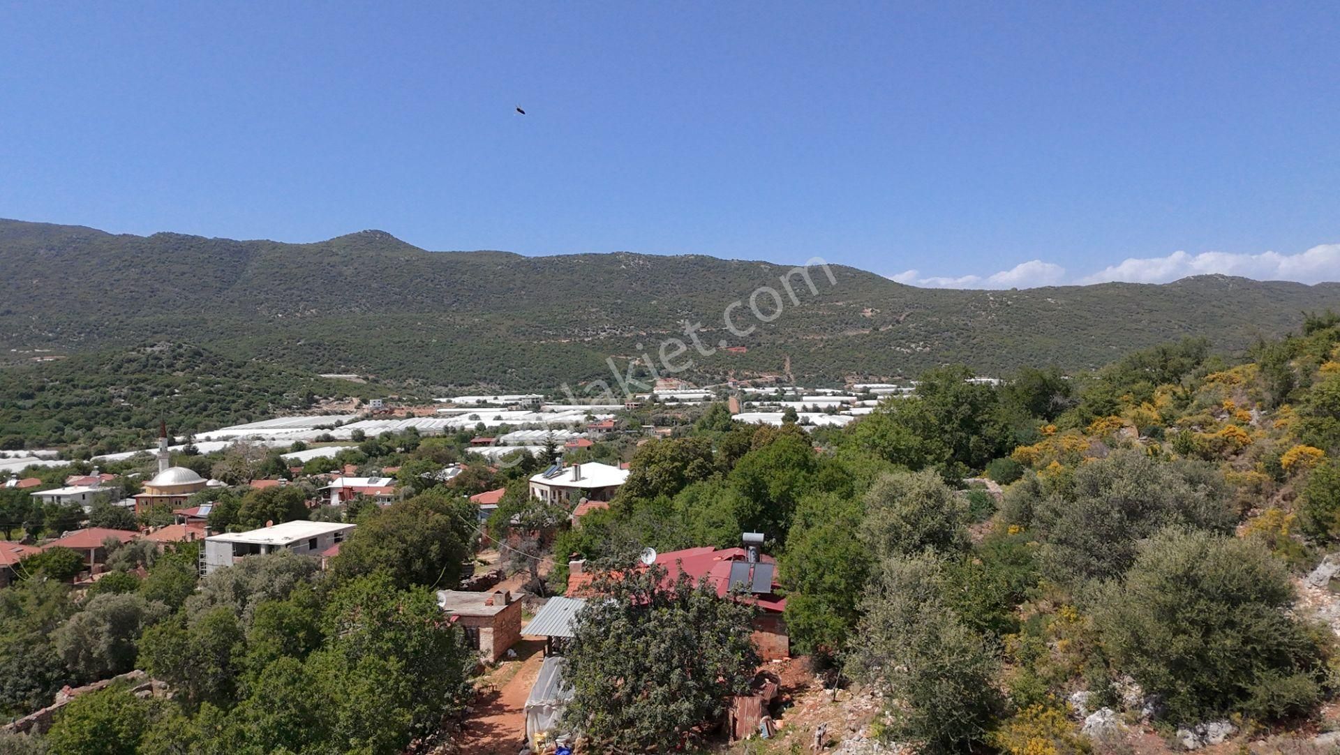 Antalya Kaş Satılık Taş Ev Ve Badem Bahçesi - Görsel 9