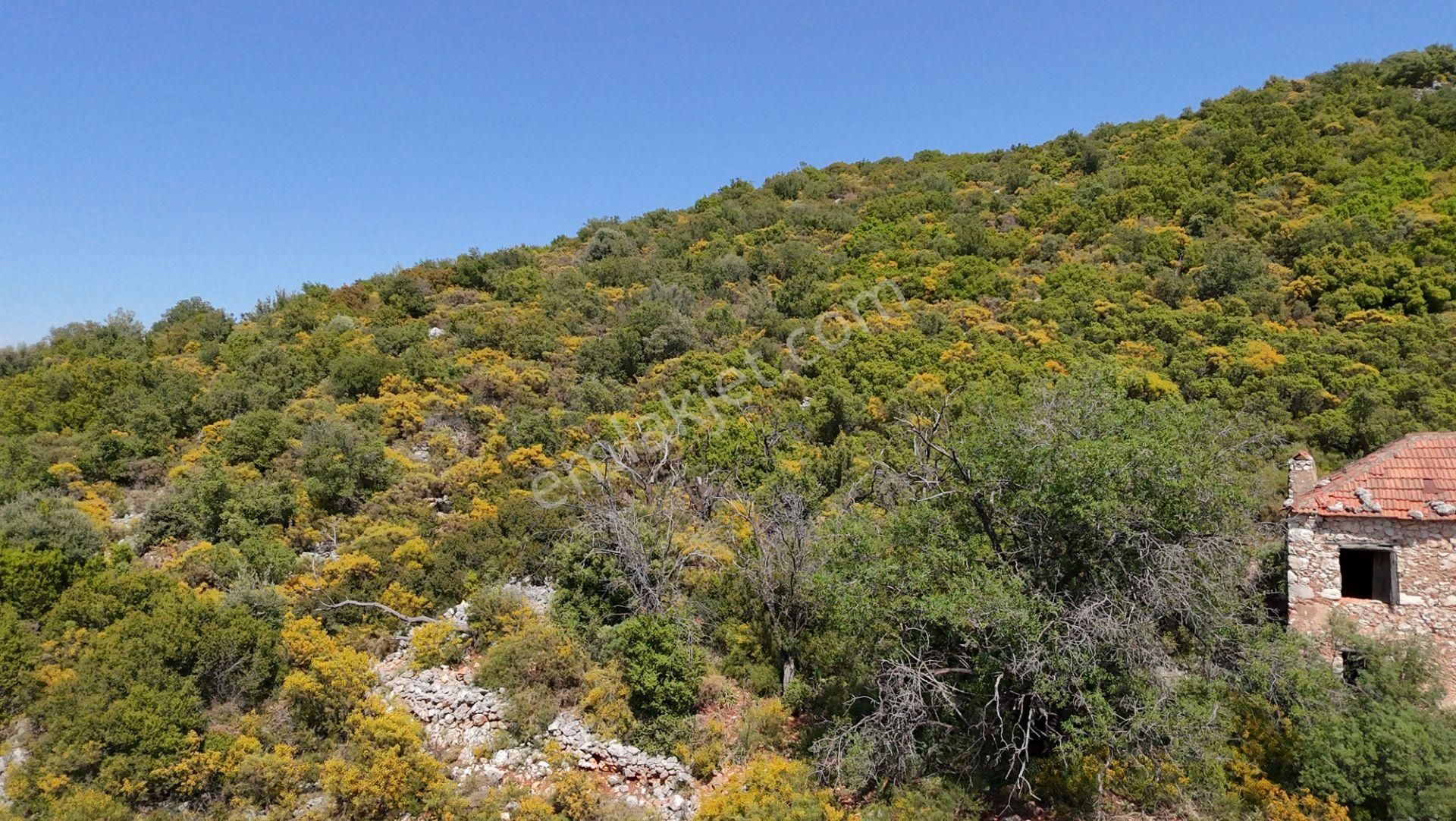 Antalya Kaş Satılık Taş Ev Ve Badem Bahçesi - Görsel 16