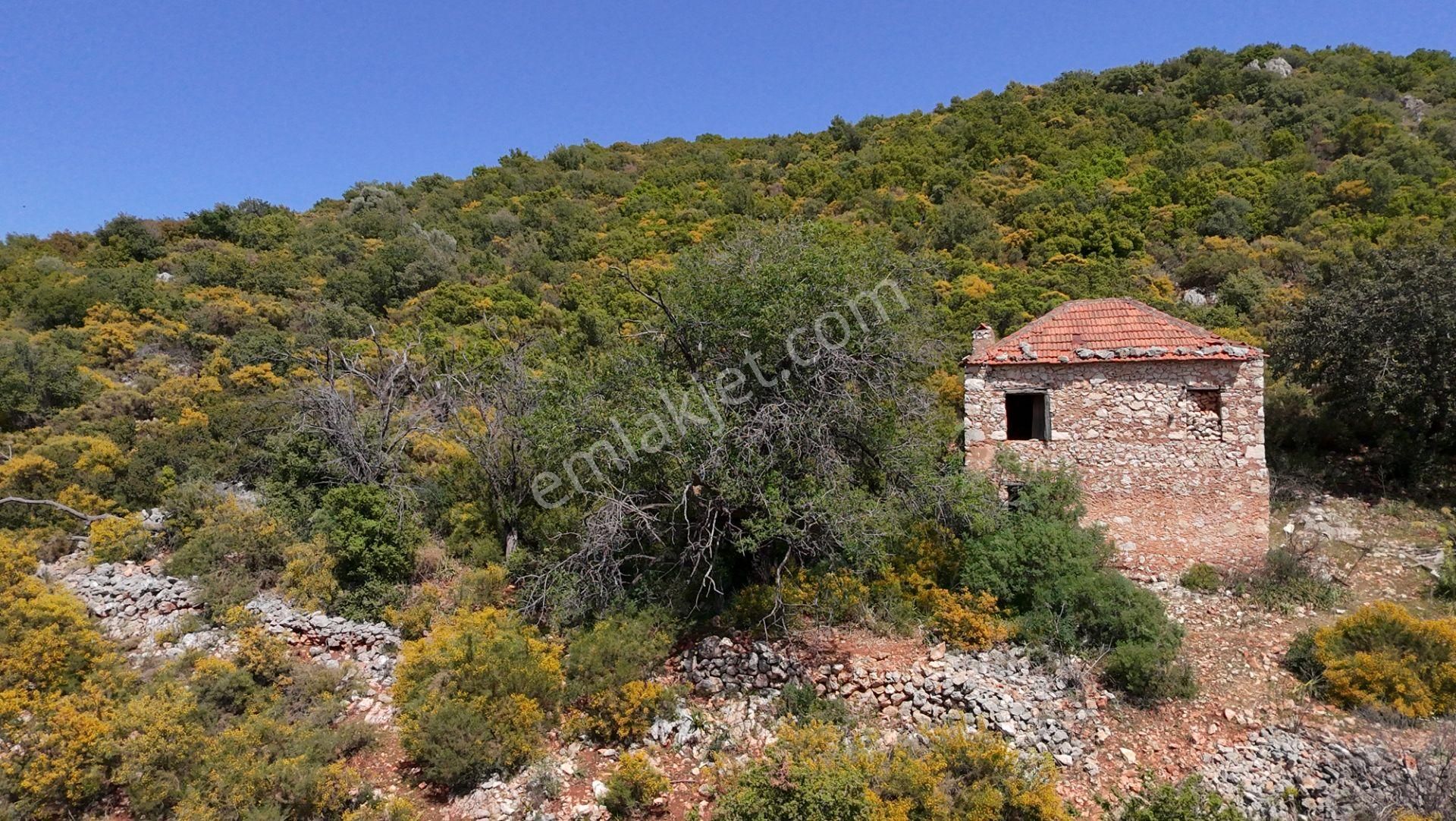 Antalya Kaş Satılık Taş Ev Ve Badem Bahçesi - Görsel 14